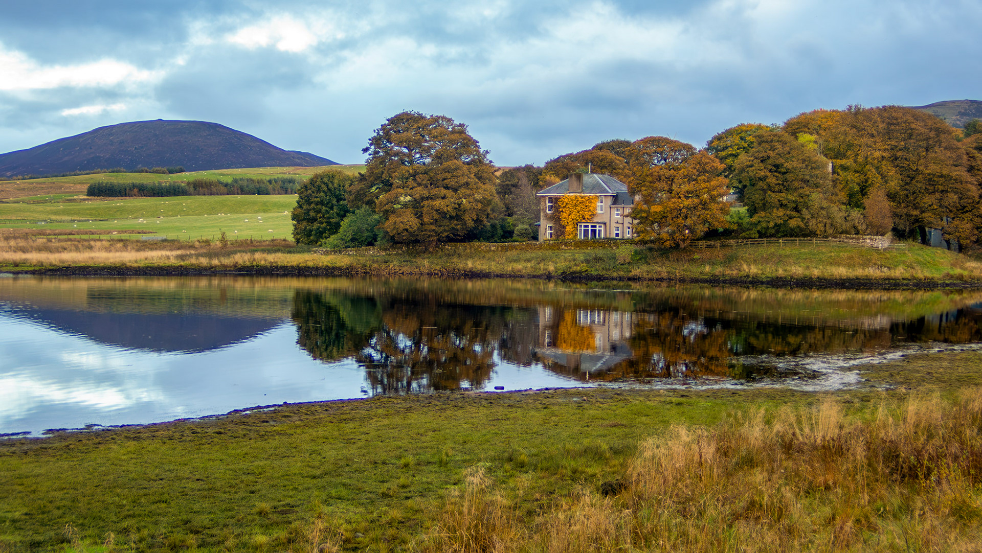 Harperrig 07 October 2024