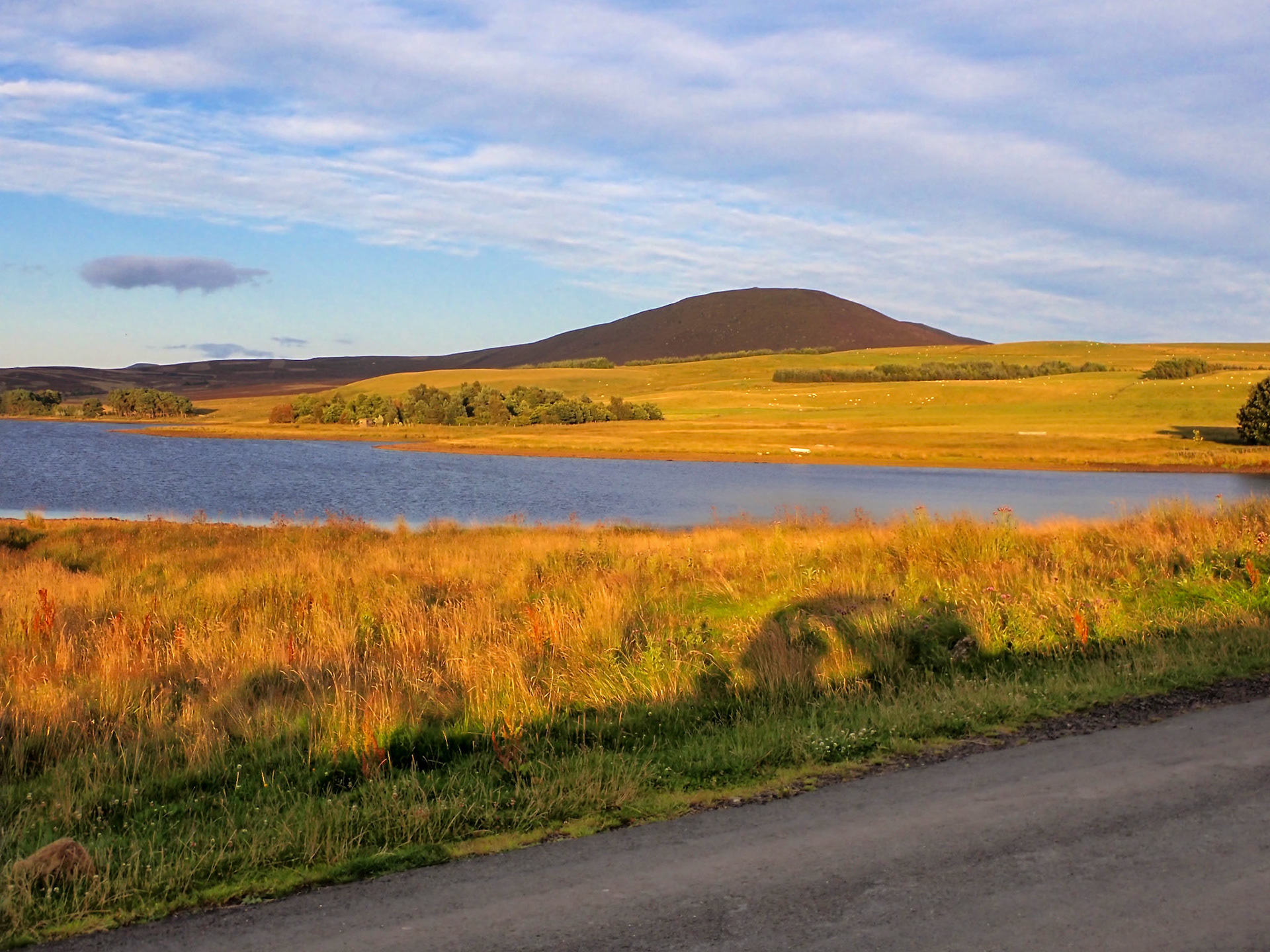 Harperrig 08 Aug 2023