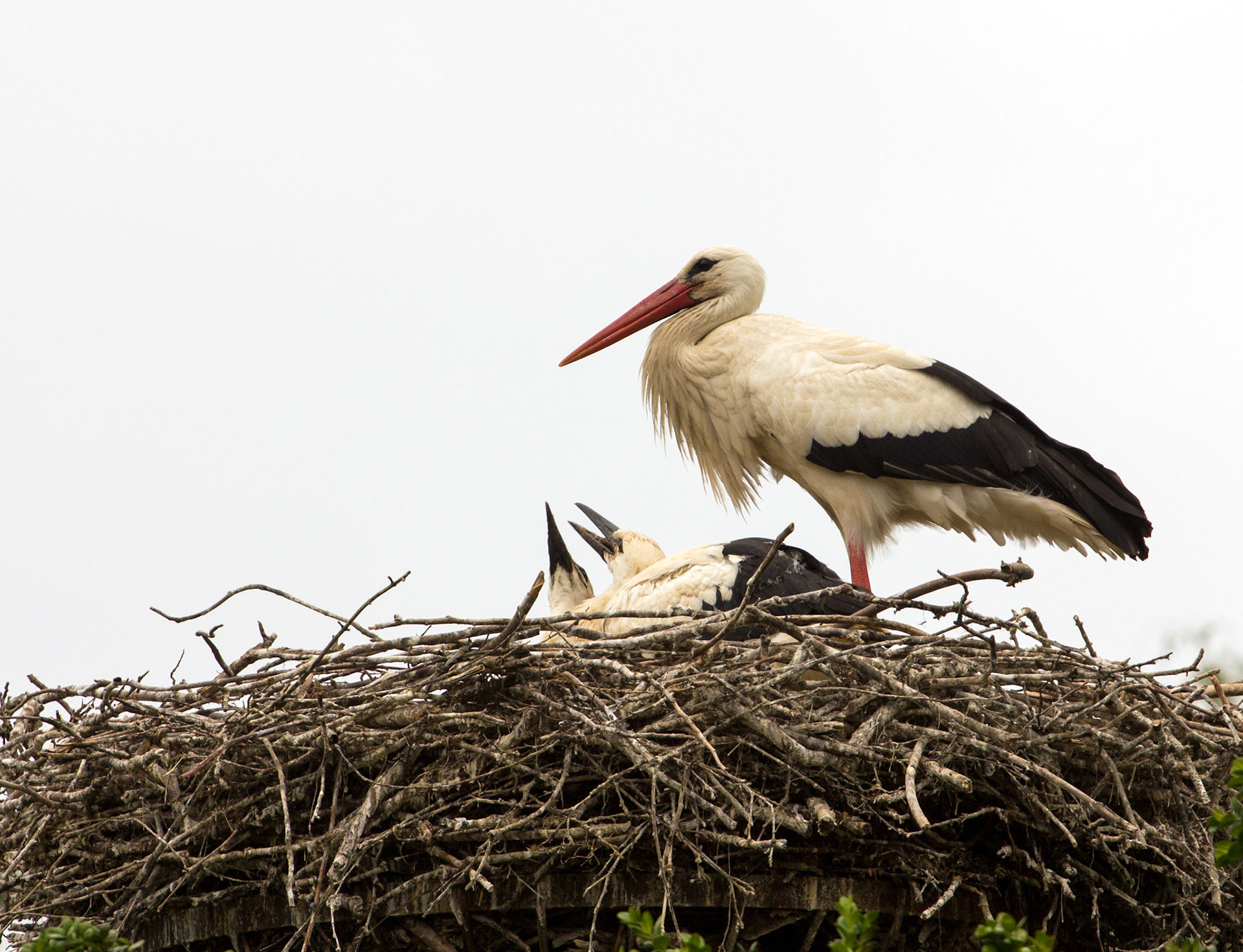 CernayPlease see my other Photographs at: http://www.jamespdeans.co.uk/