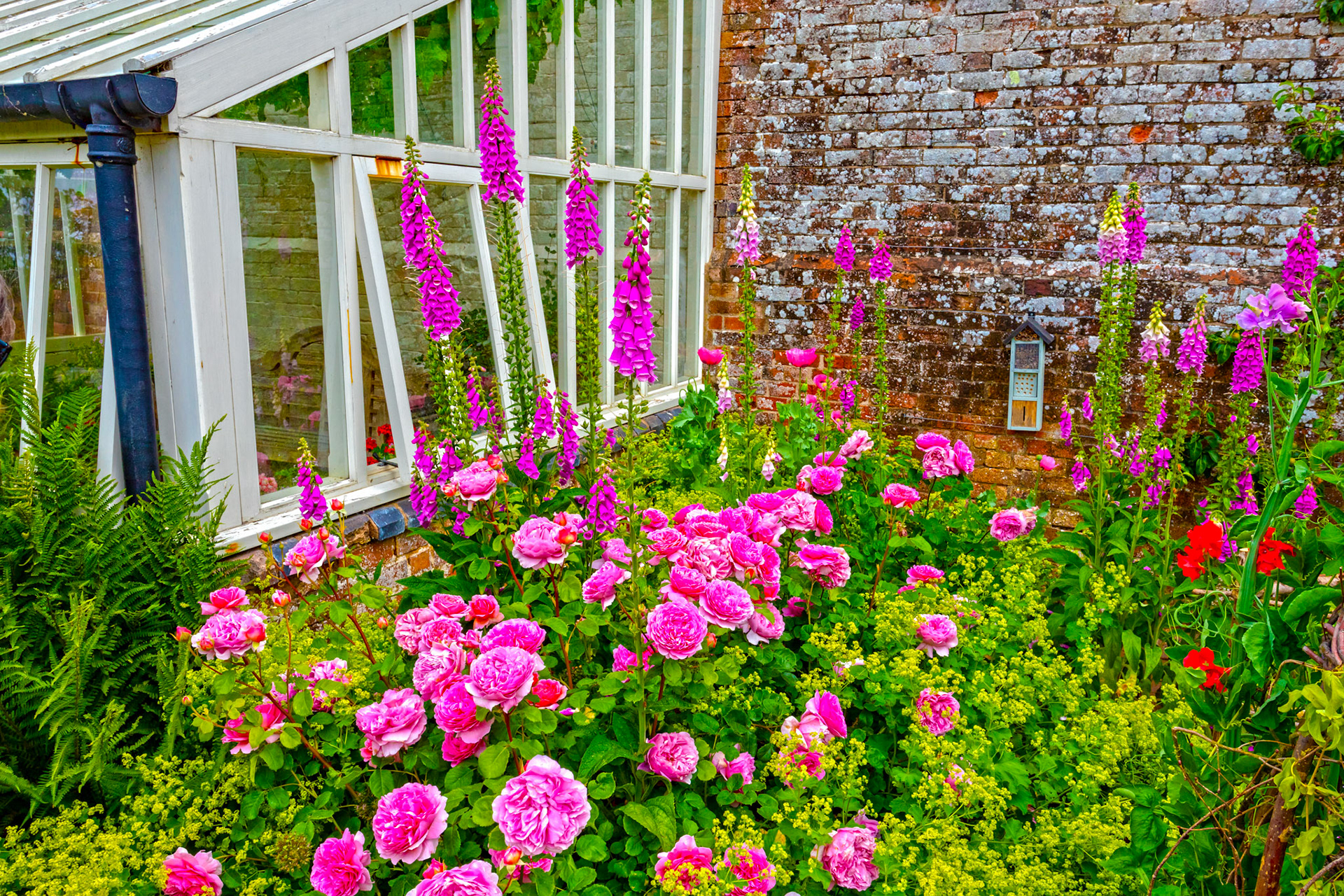 Baddesley Clinton 18 June 2023