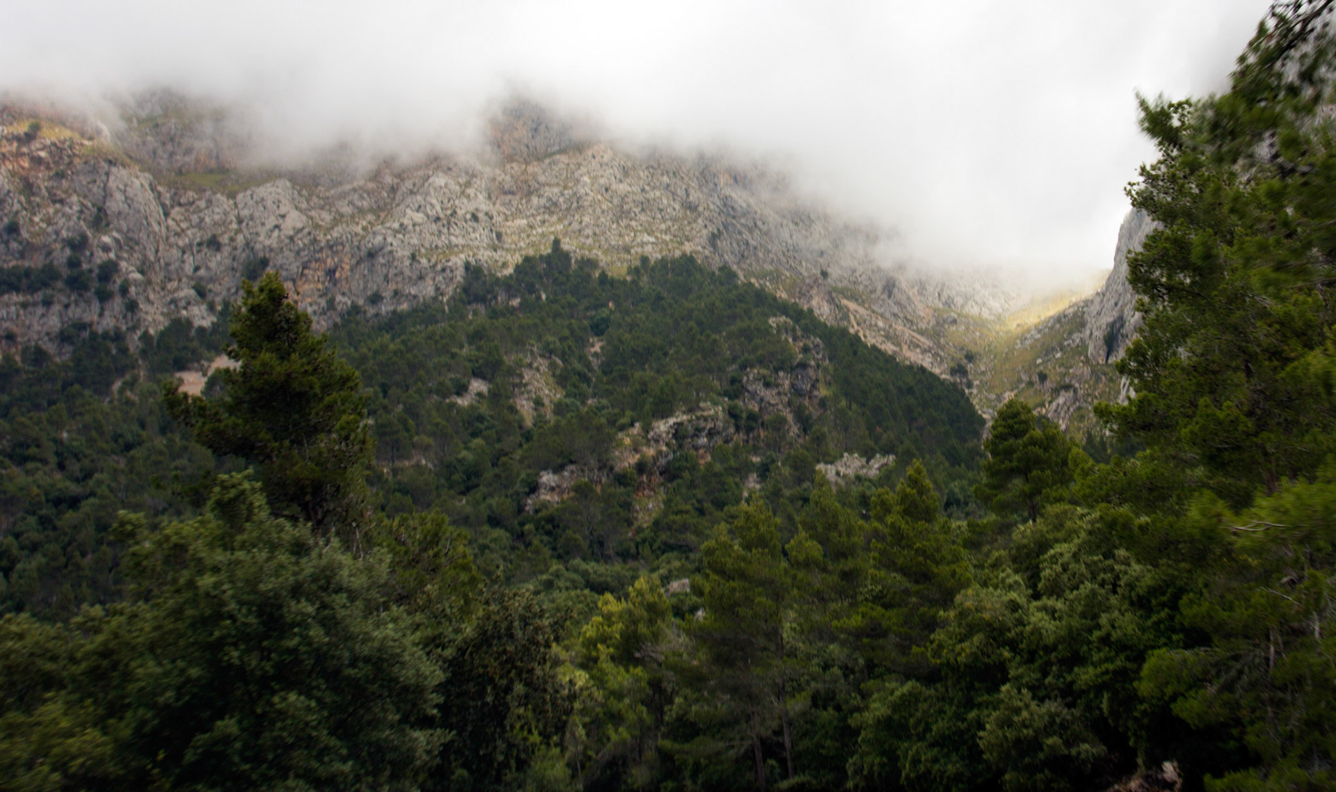 SollerPlease see my other Photographs at: http://www.jamespdeans.co.uk/