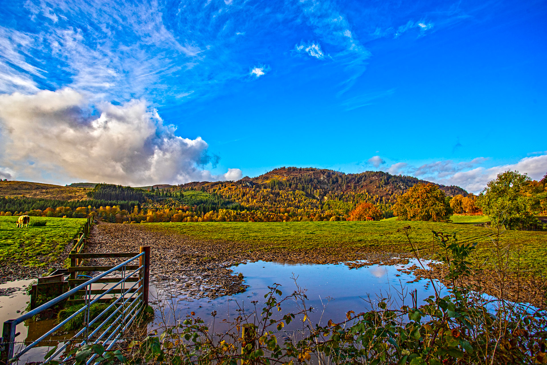 near Dunkeld. Autumnal Tour around Perthshire 19 October 2024