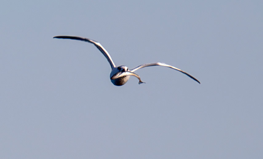 Sea next to Mussellburgh Lagoons 25 Sept 2024