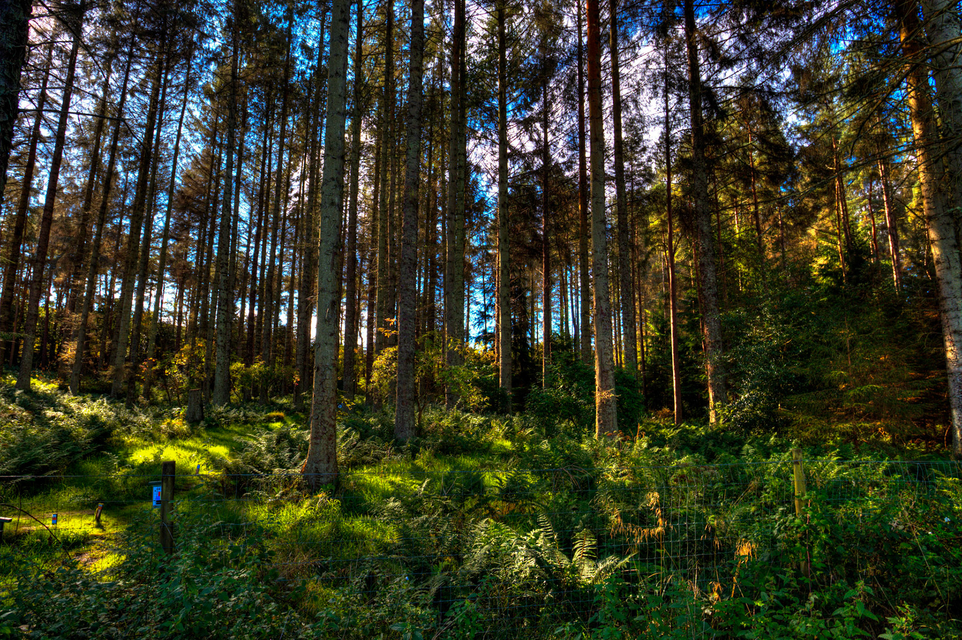 Beecraigs 24 Sept 2025