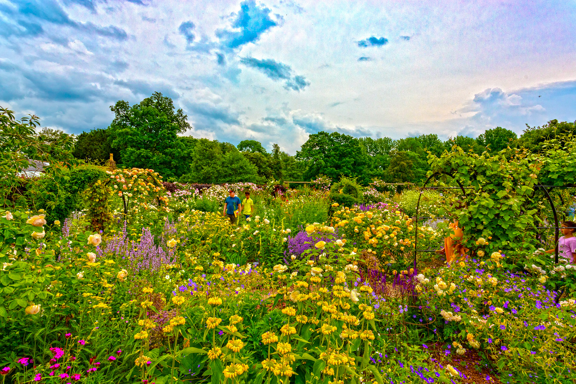 Coughton Court 18 June 2023