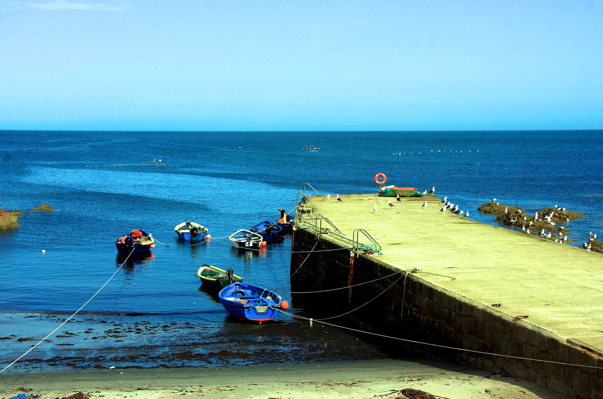 Buchanhaven, Peterhead