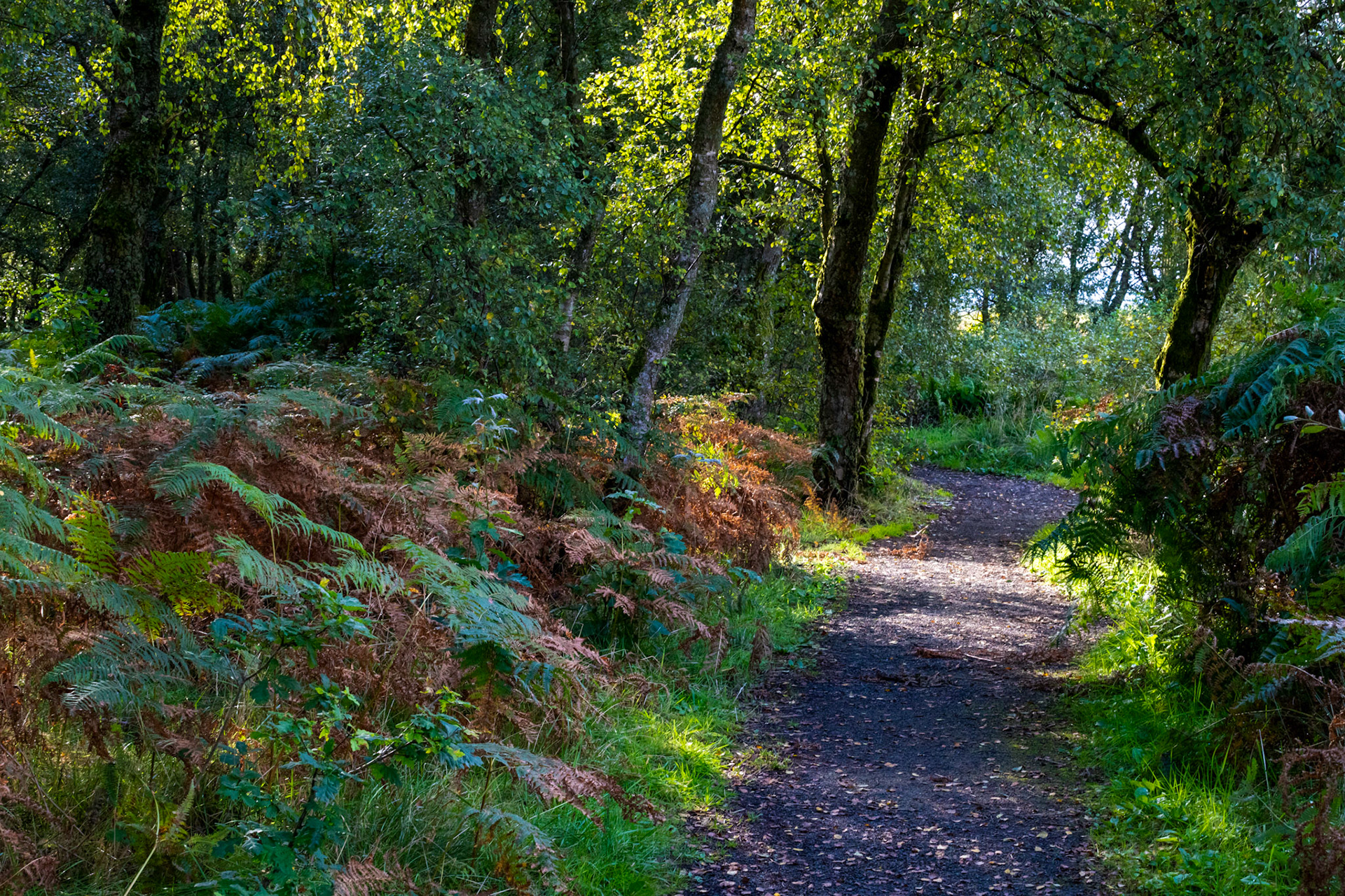 Flanders Moss 16 September 2023