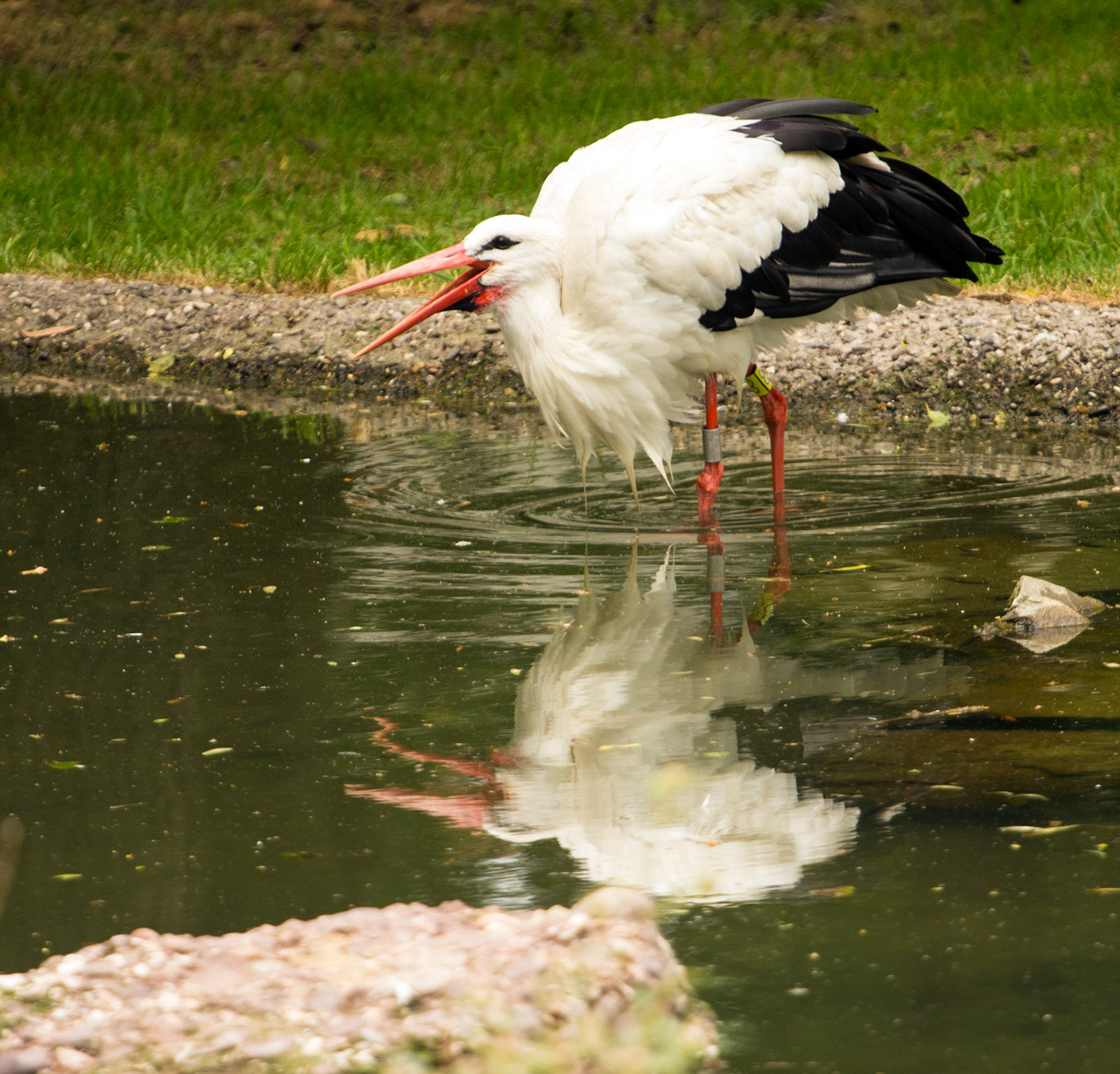 CernayPlease see my other Photographs at: http://www.jamespdeans.co.uk/