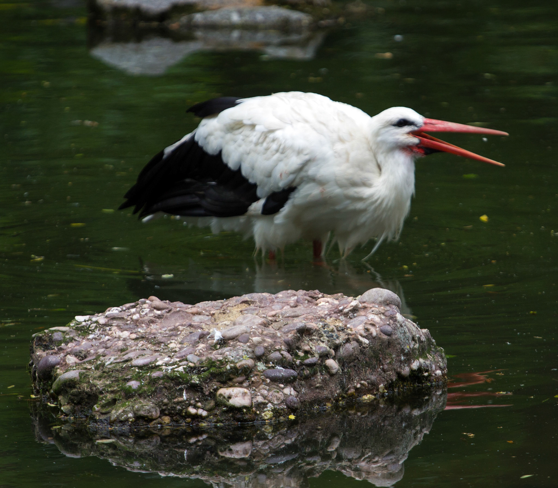 CernayPlease see my other Photographs at: http://www.jamespdeans.co.uk/