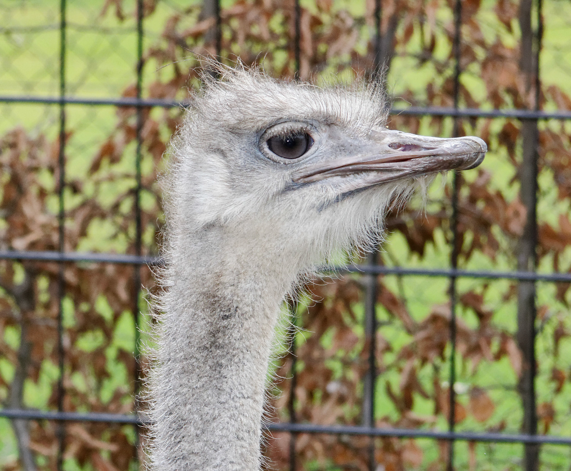 AntwerpPlease see my other Photographs at: http://www.jamespdeans.co.uk/