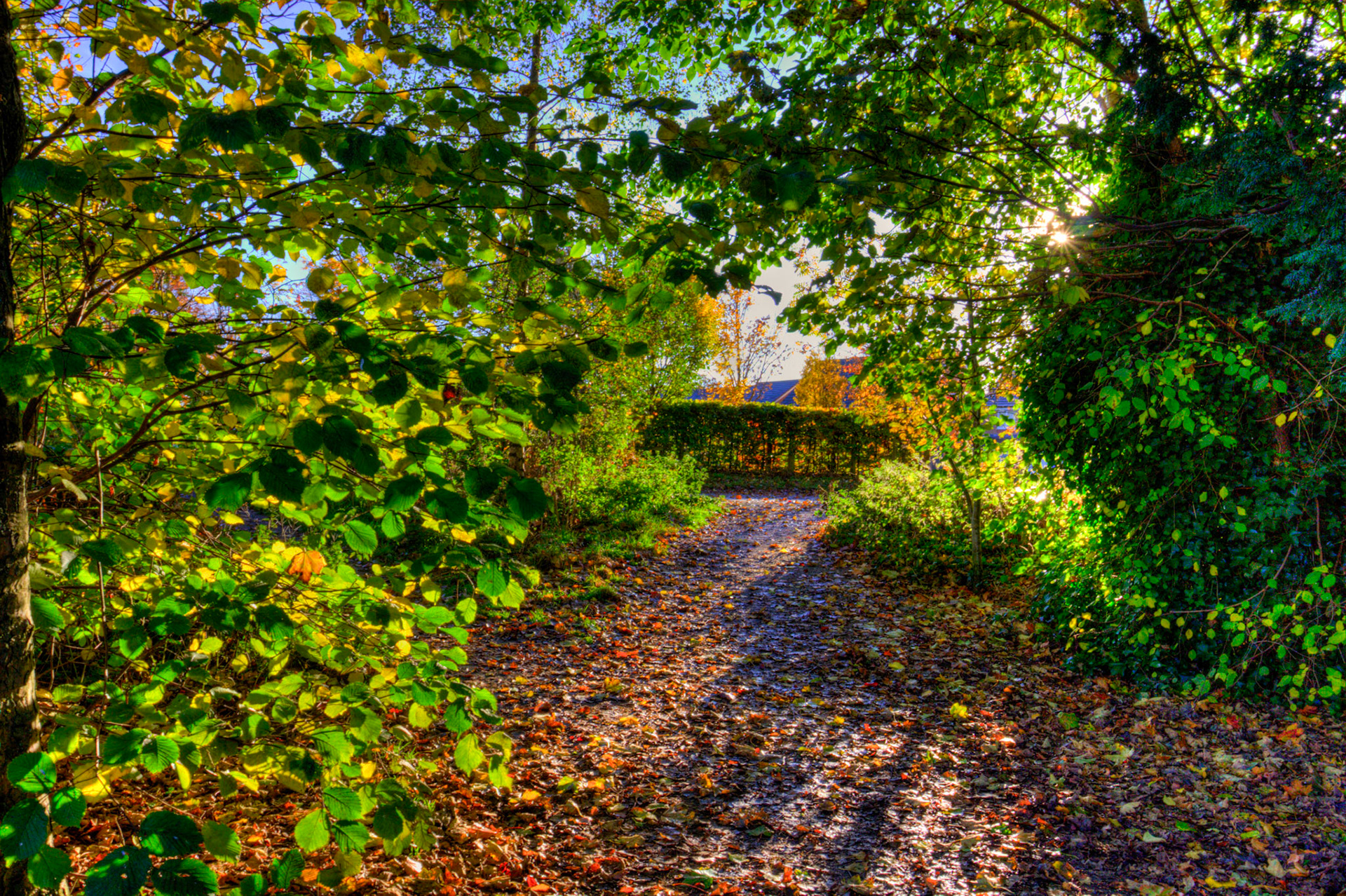 Almondell at East Calder 27 October 2025