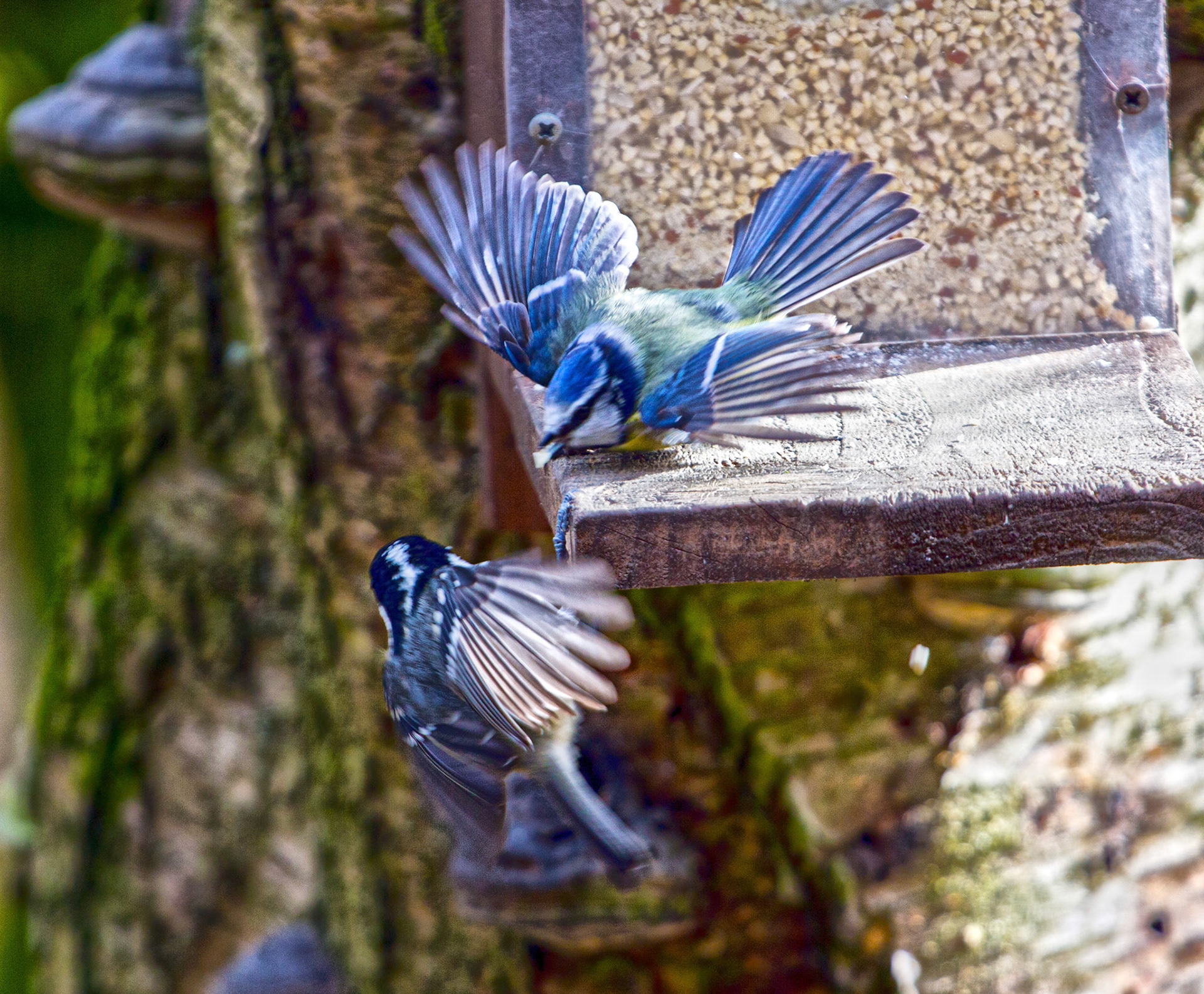 PerthshirePlease see my other Photographs at: http://www.jamespdeans.co.uk/