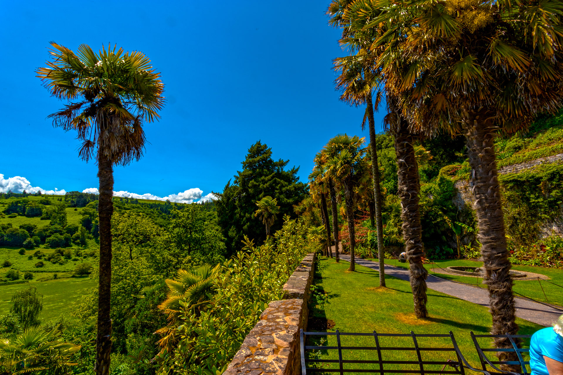 Dunster 22 June 2023