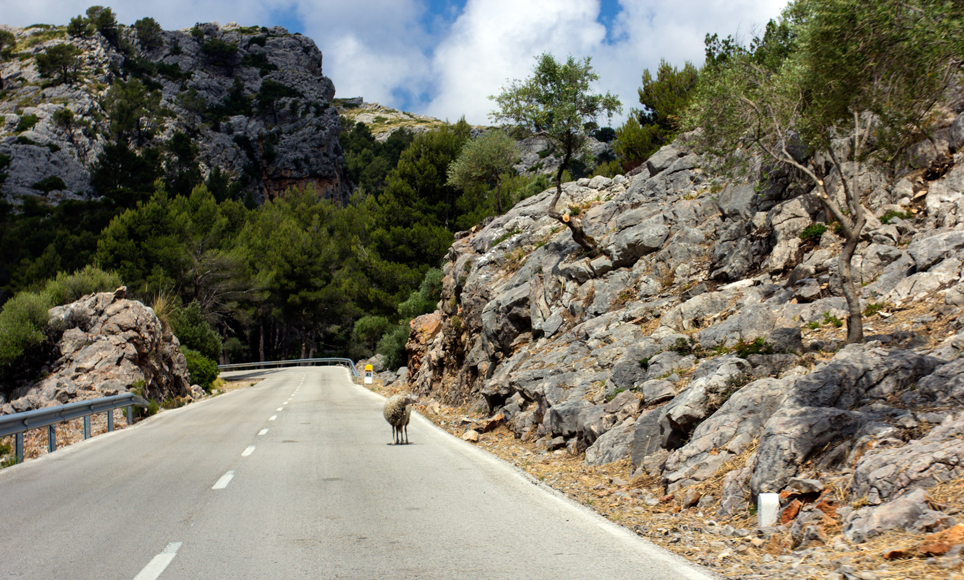 SollerPlease see my other Photographs at: http://www.jamespdeans.co.uk/