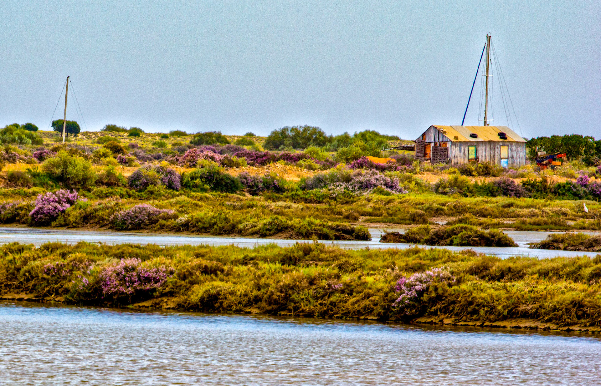Salt Pans in Tavira
