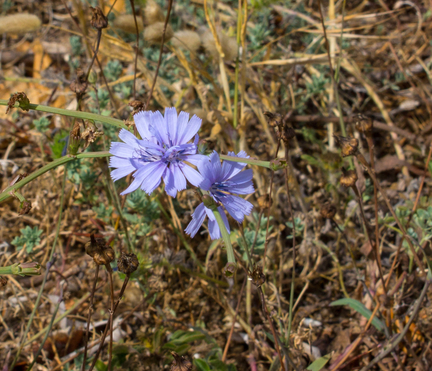AlcudiaPlease see my other Photographs at: www.jamespdeans.co.uk