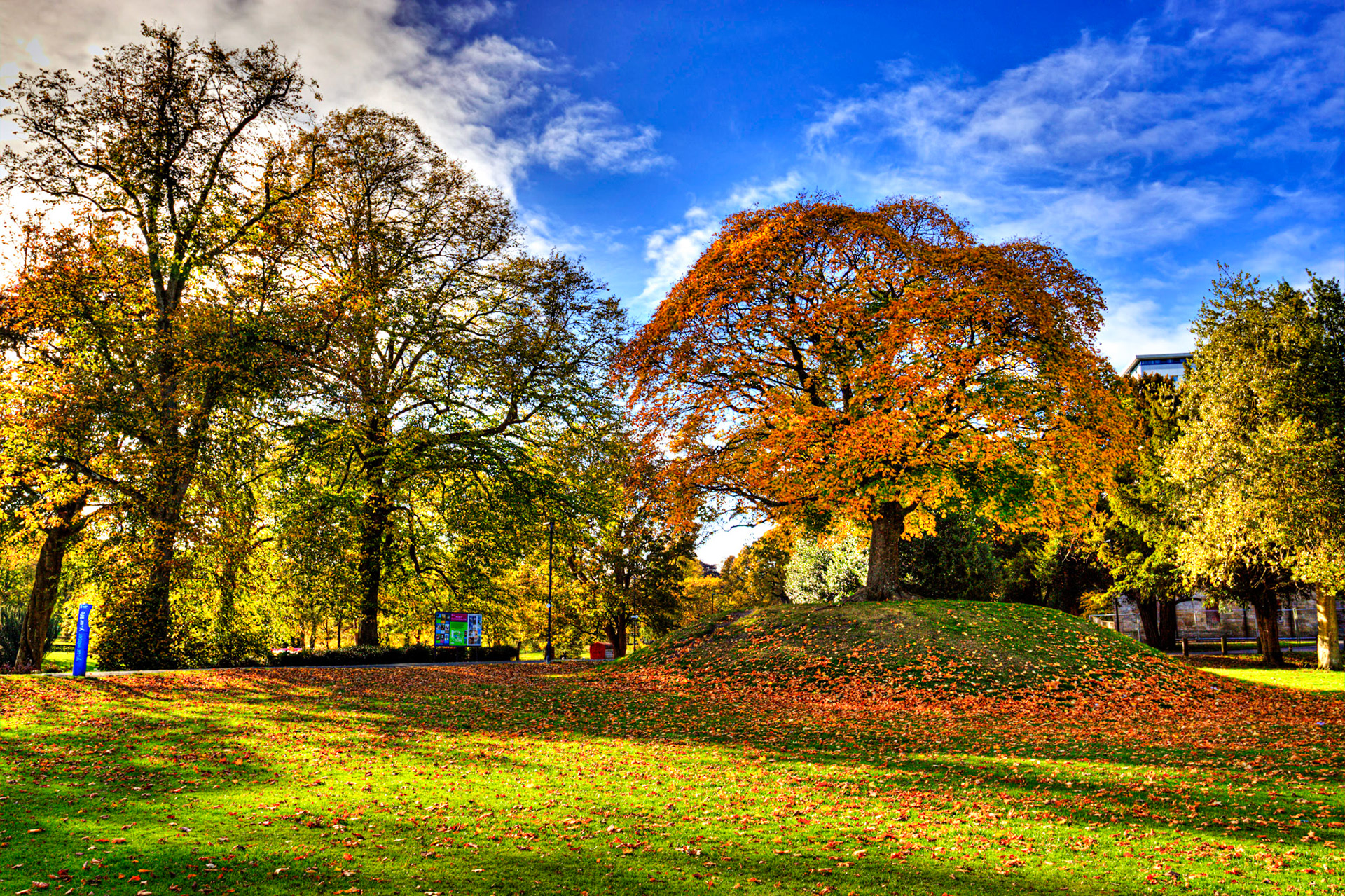 Callendar Park, Falkirk 11 October 2025