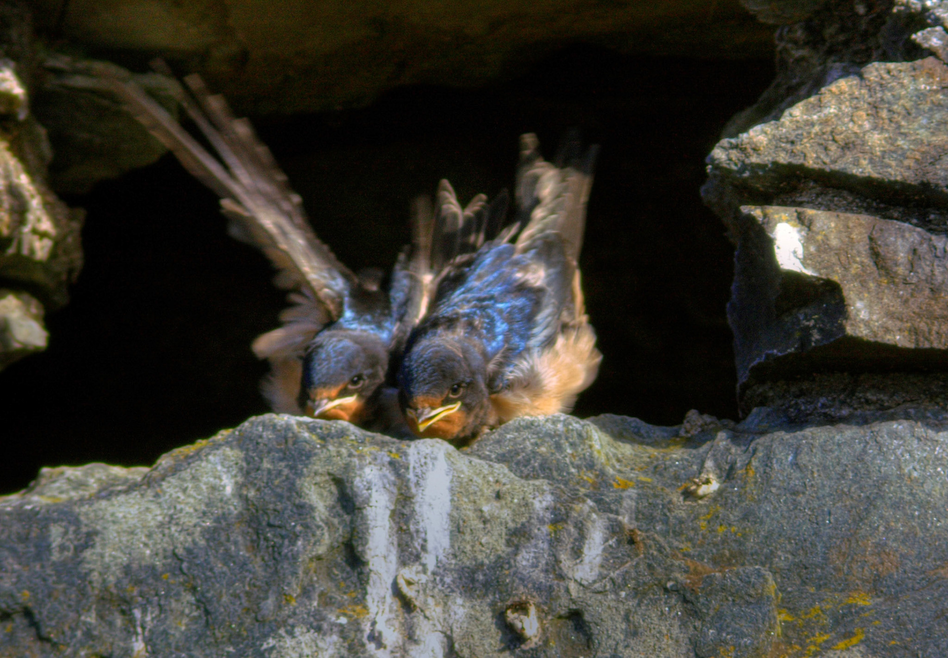 Kilchurn Castle Please see my other Photographs at: http://www.jamespdeans.co.uk/