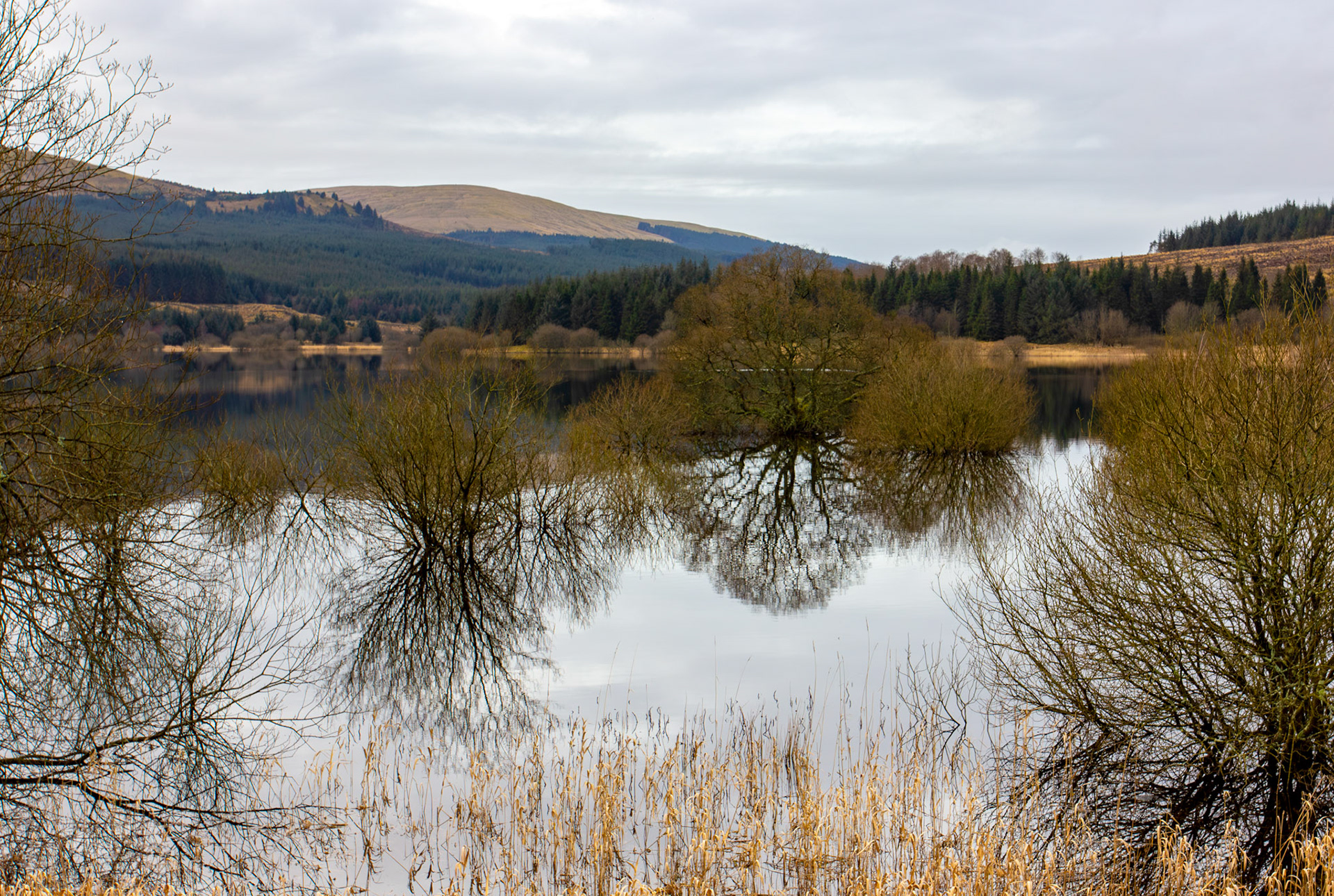 Carron Valley Reservoir 28 February 2026