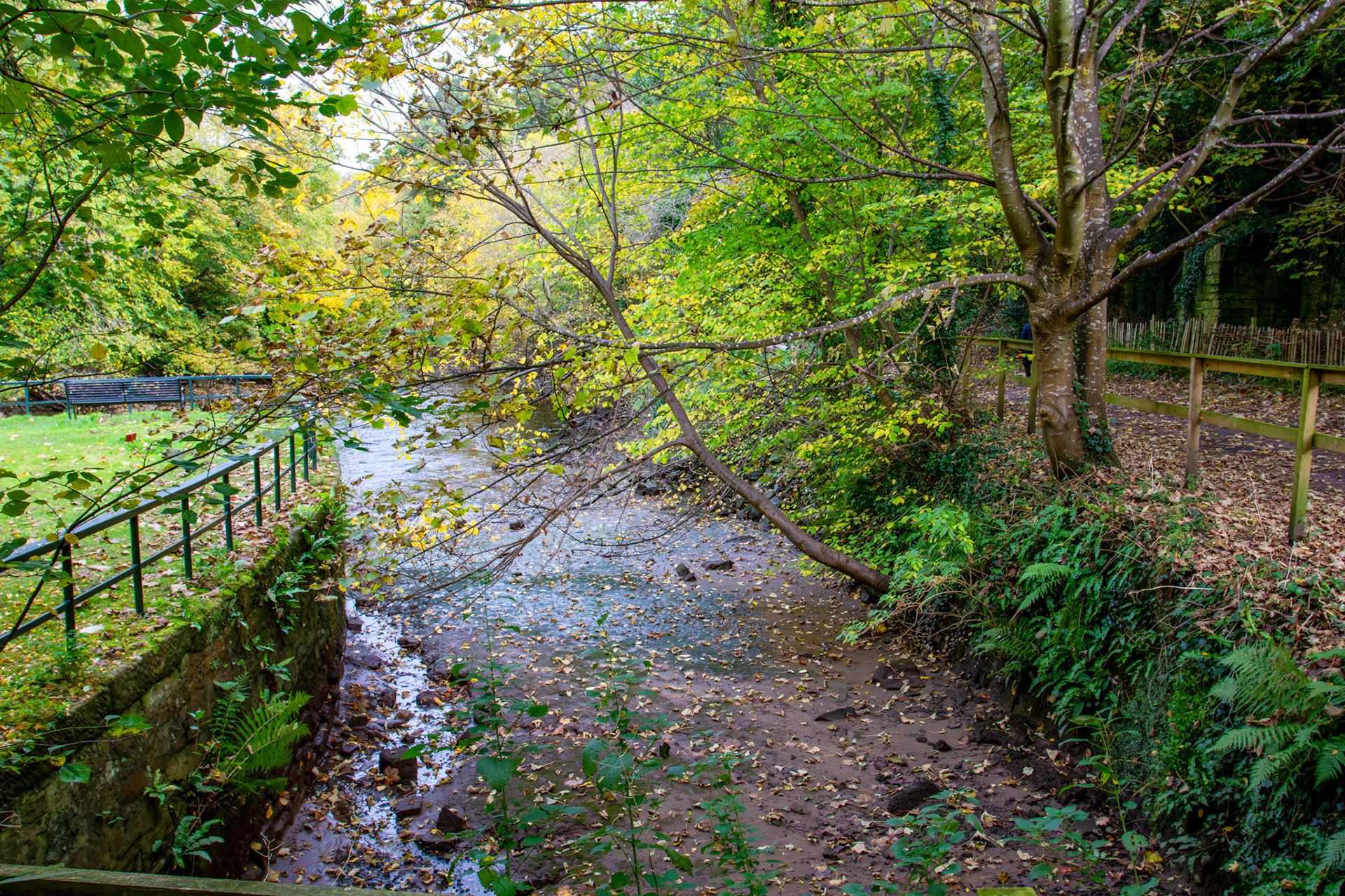 Old dock at Cramond 18 October 2024