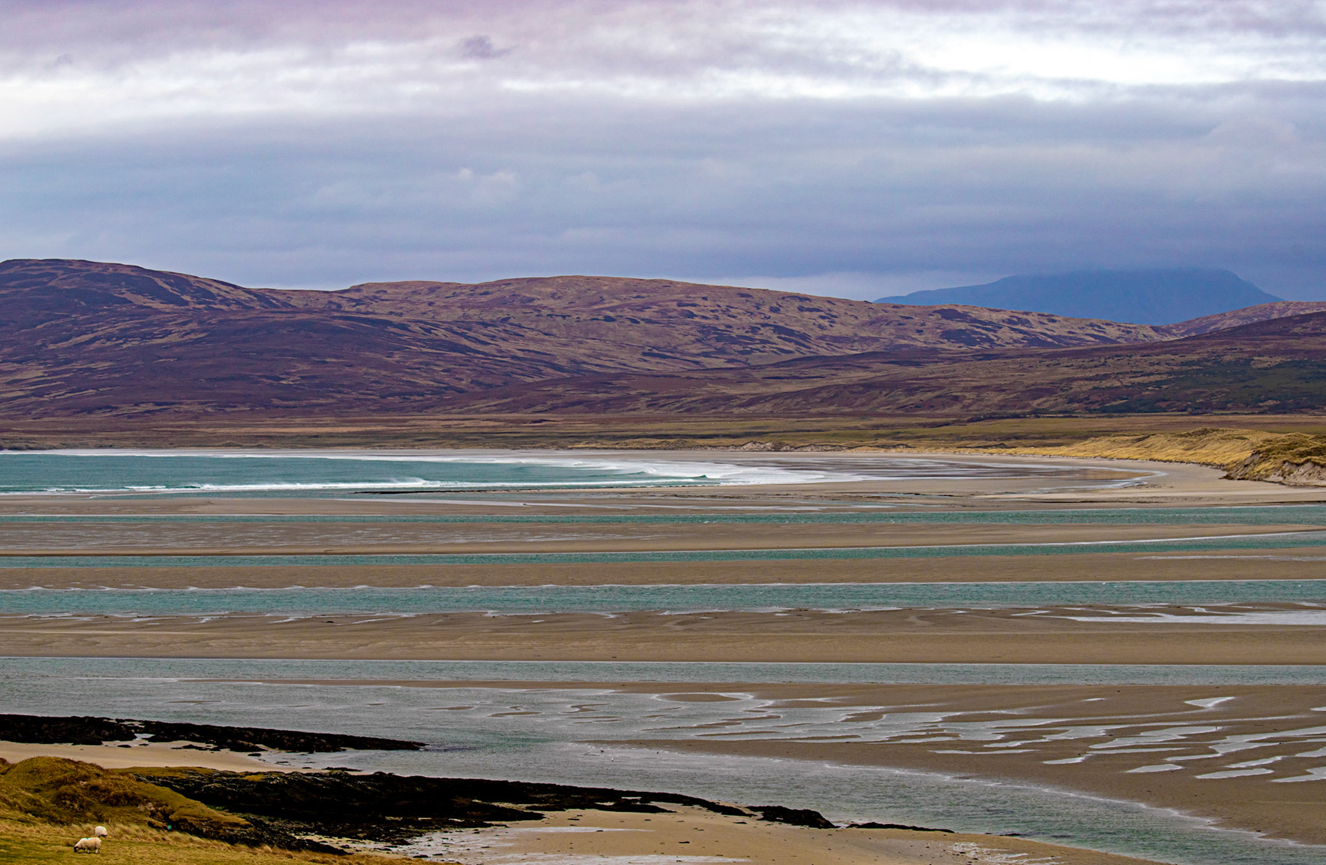 Loch Gruinart: The Island of Islay 04 March 2025