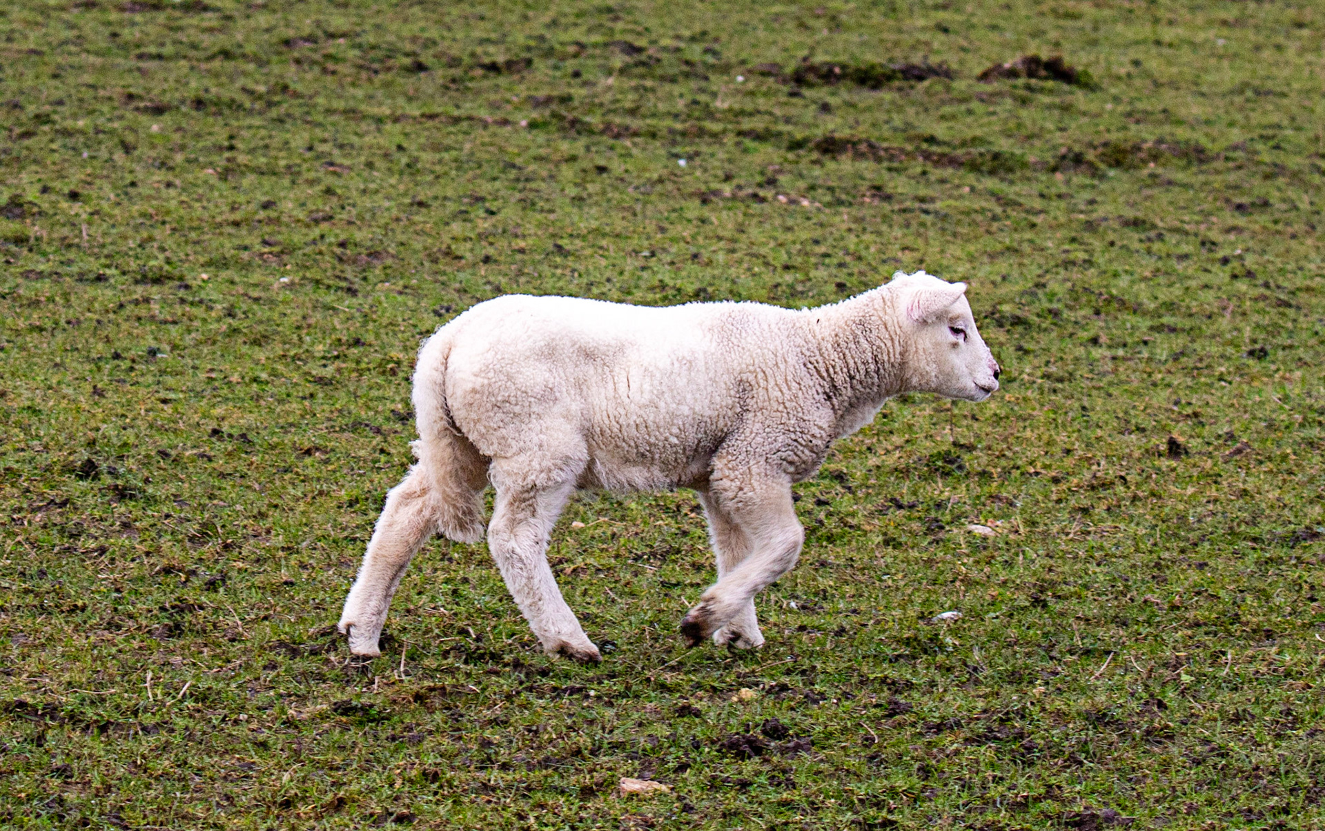 The Island of Islay 04 March 2025