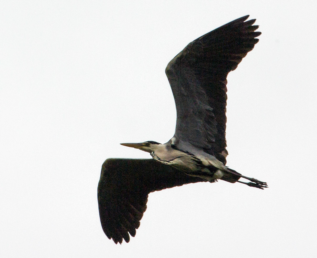 CernayPlease see my other Photographs at: http://www.jamespdeans.co.uk/