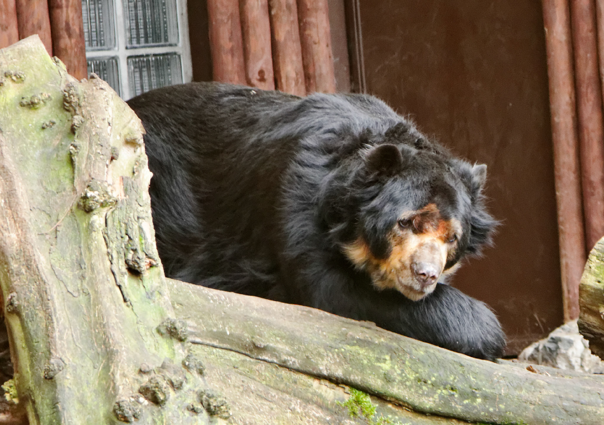 AntwerpPlease see my other Photographs at: http://www.jamespdeans.co.uk/