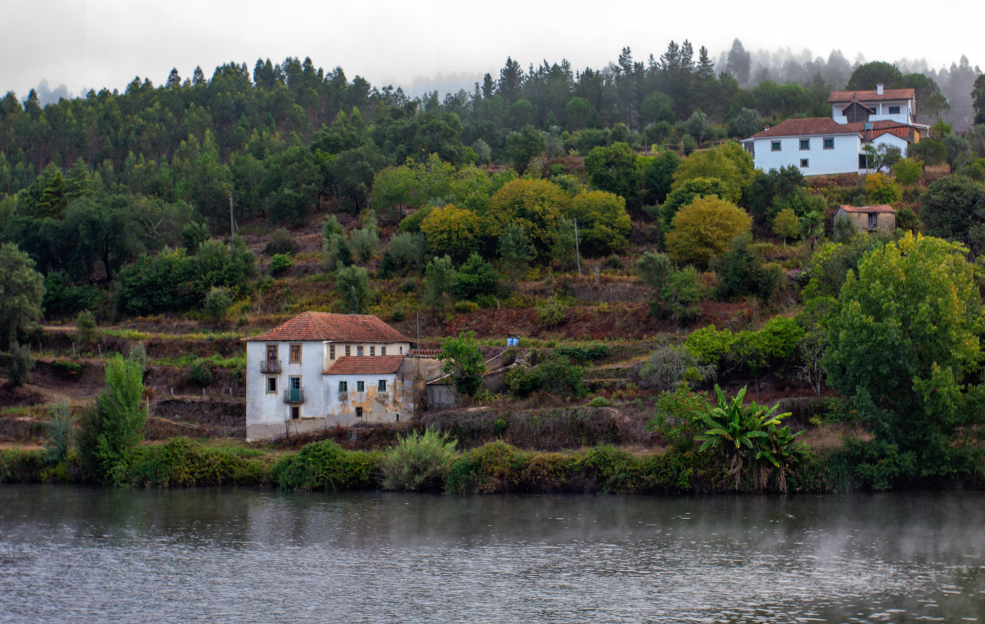 Douro cruise 21 August 2026
