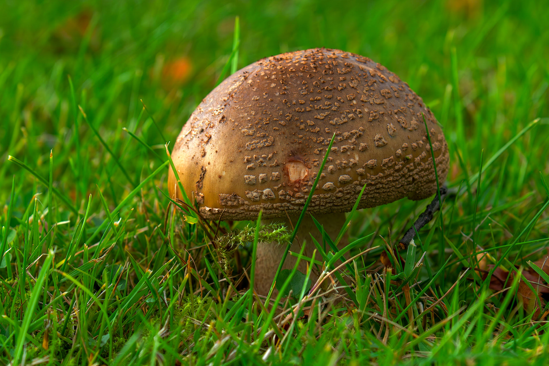 Deans North 06 October 2025