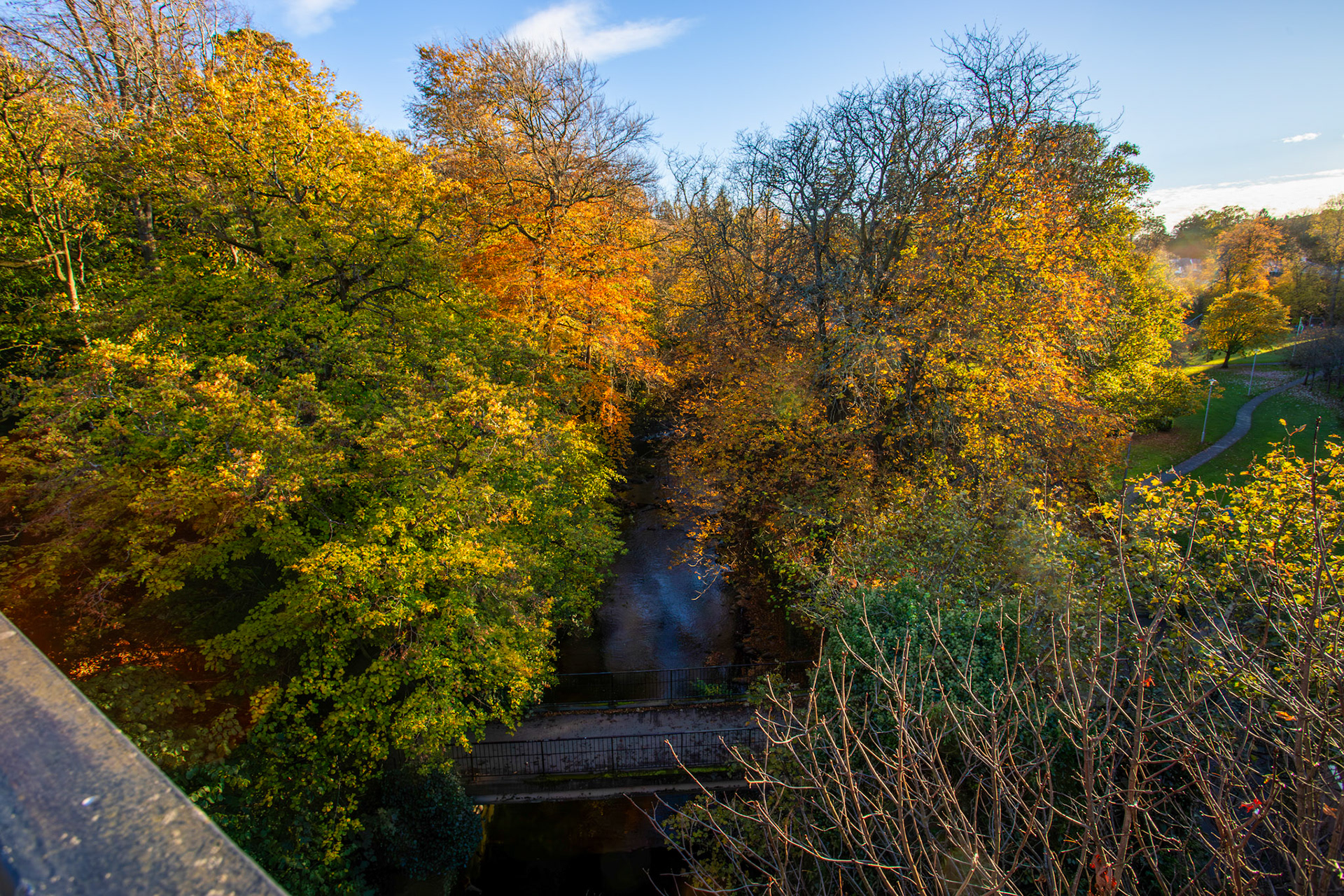 Water of Leith - Colinton 27 October 2025