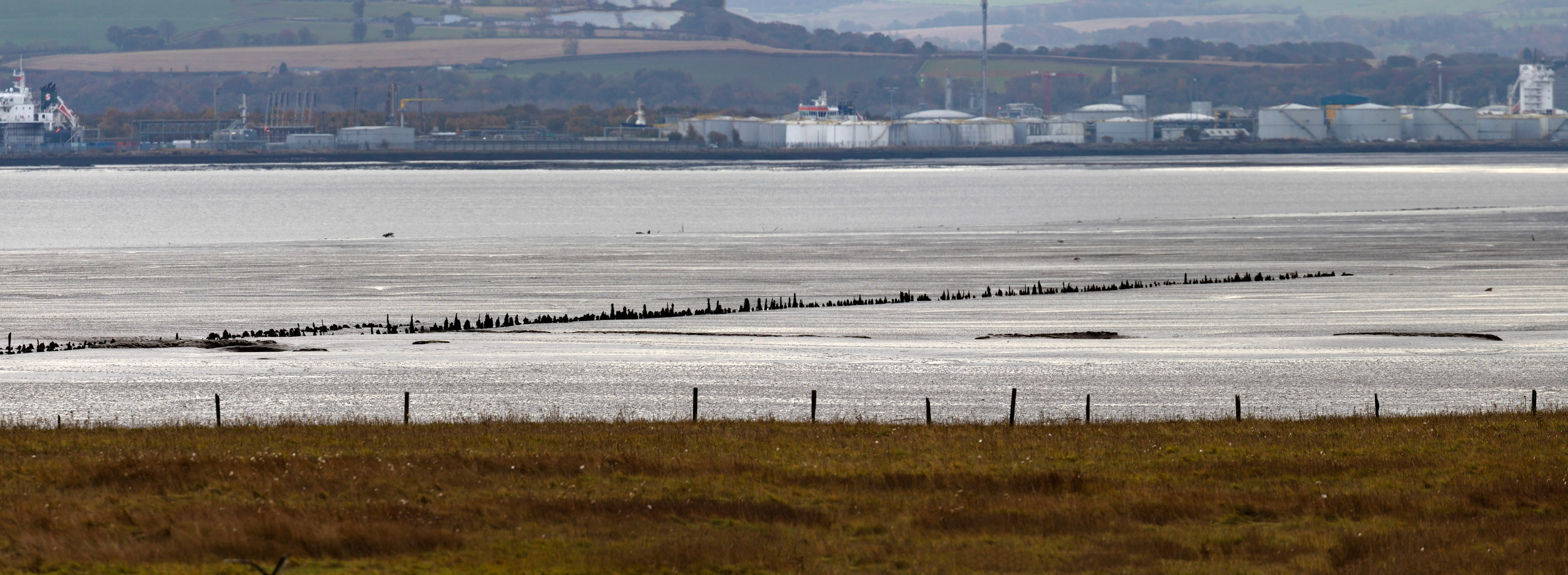 Higgins Neuk 23 Oct 2024