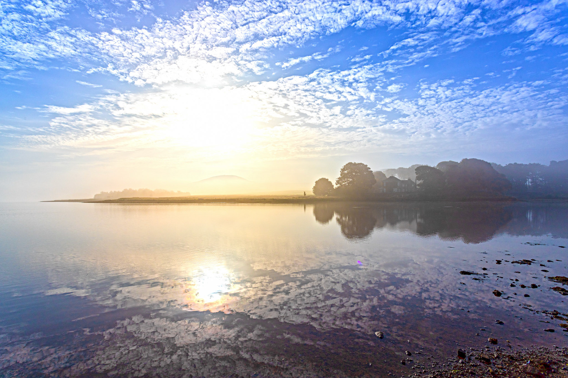 Fog @ Harperrig 08 Septemer 2023