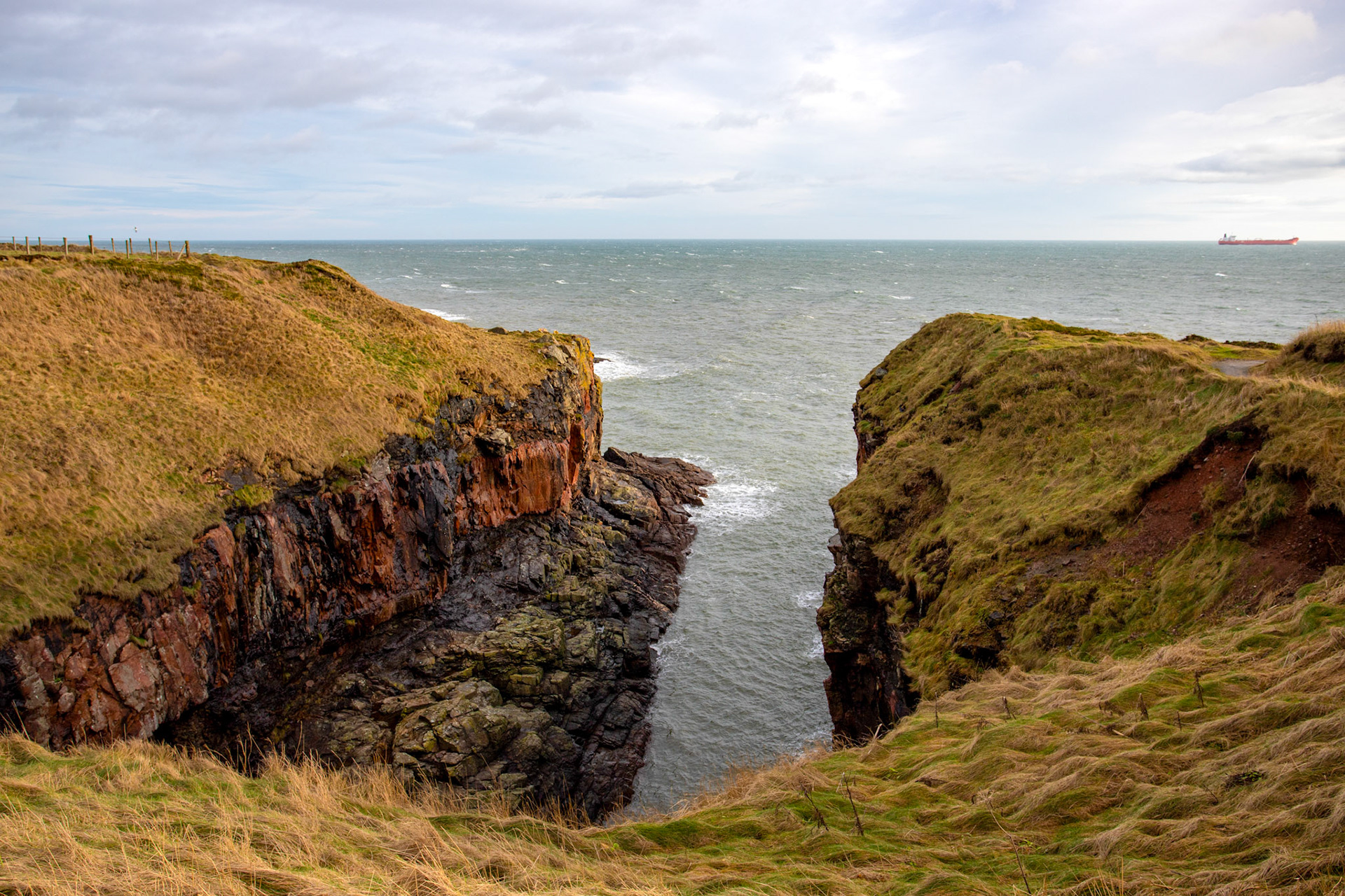 Long Slough - Walk Cove to Aberdeen 27 January 2024