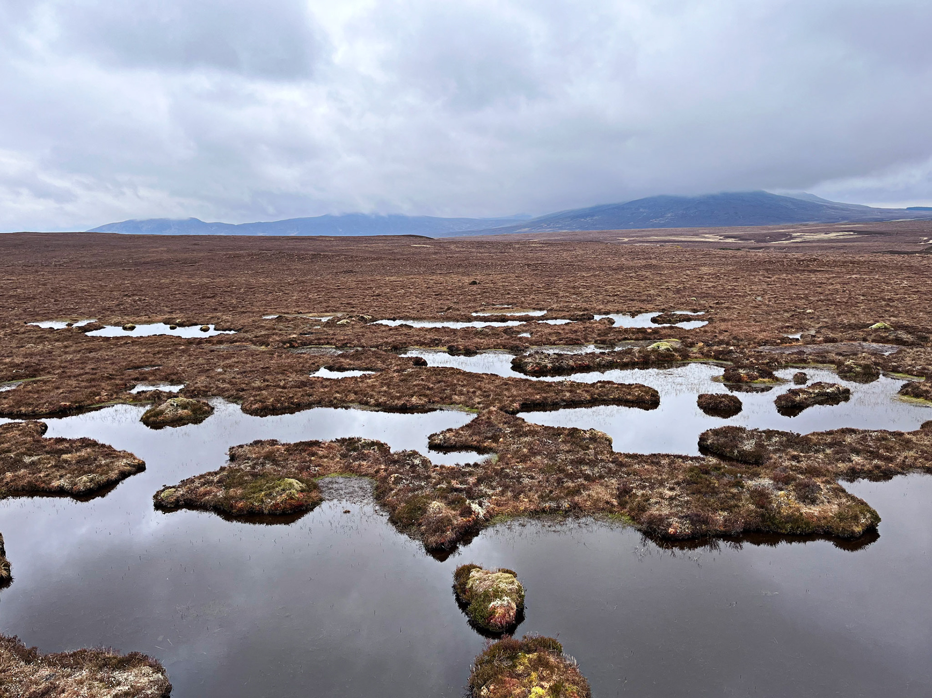 Forsinard 05 May 2024