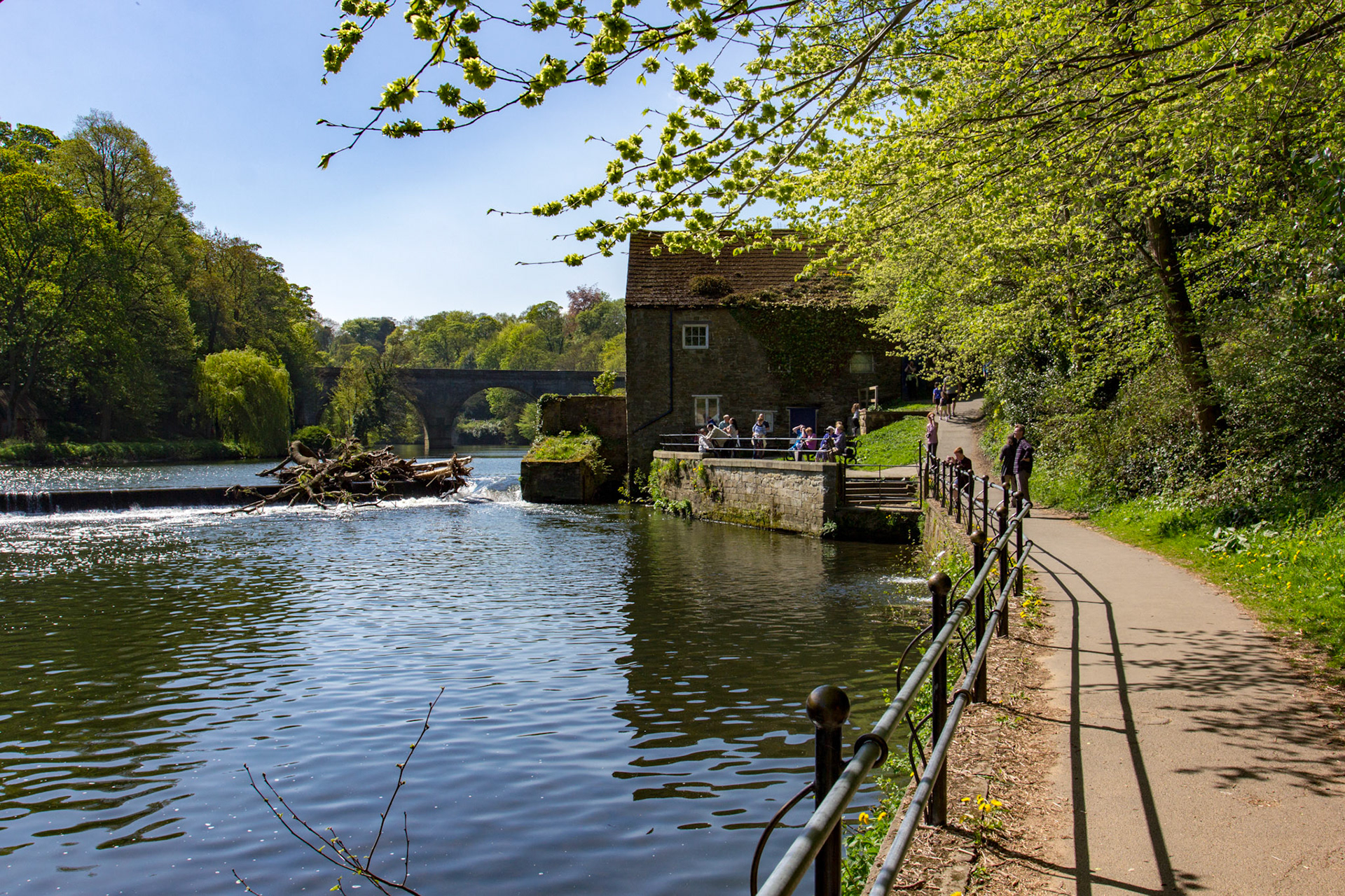Durham 04 to  07 May 2018Please see my other Photographs at: www.jamespdeans.co.uk