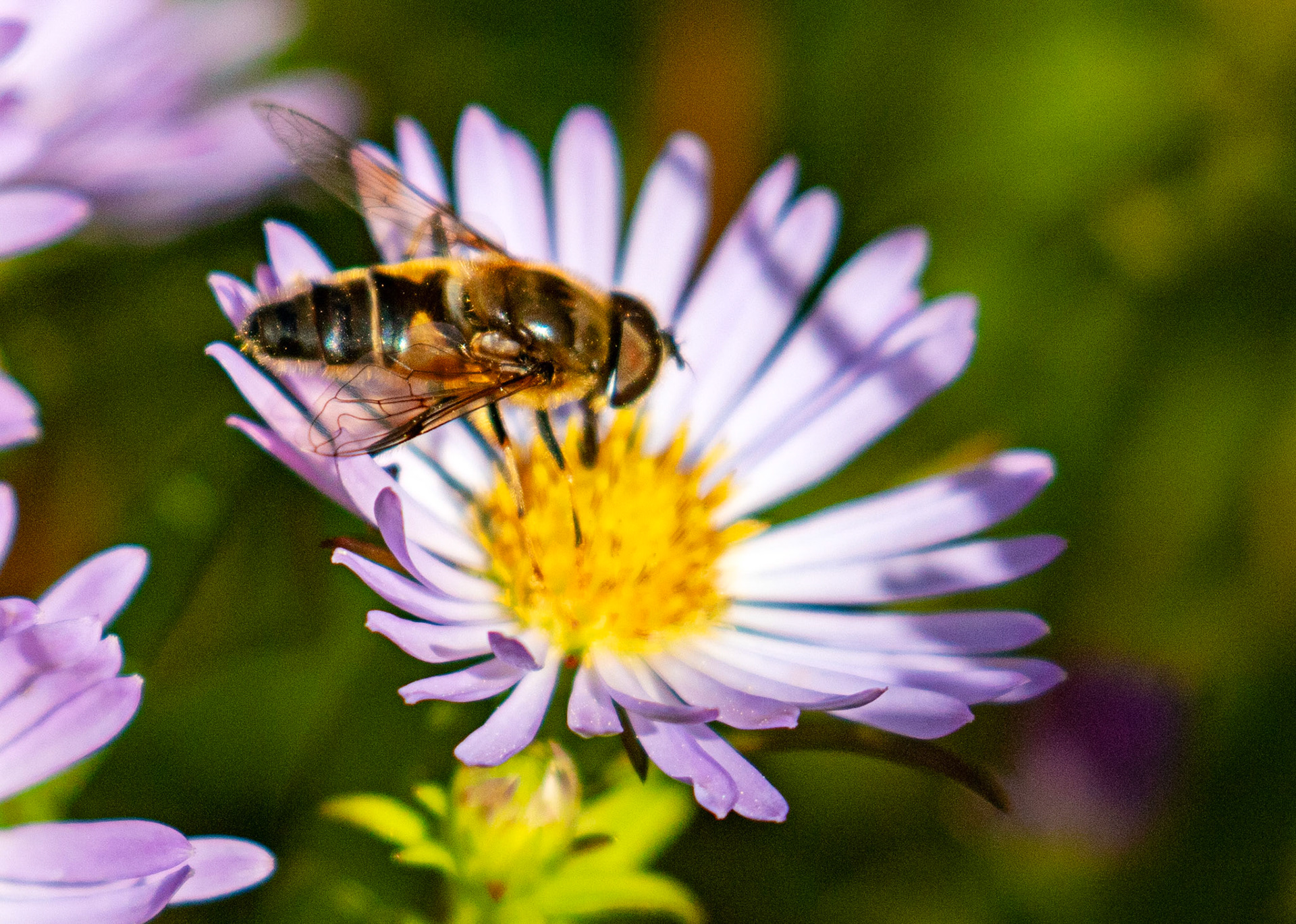 The Knock 12 Sept 2024