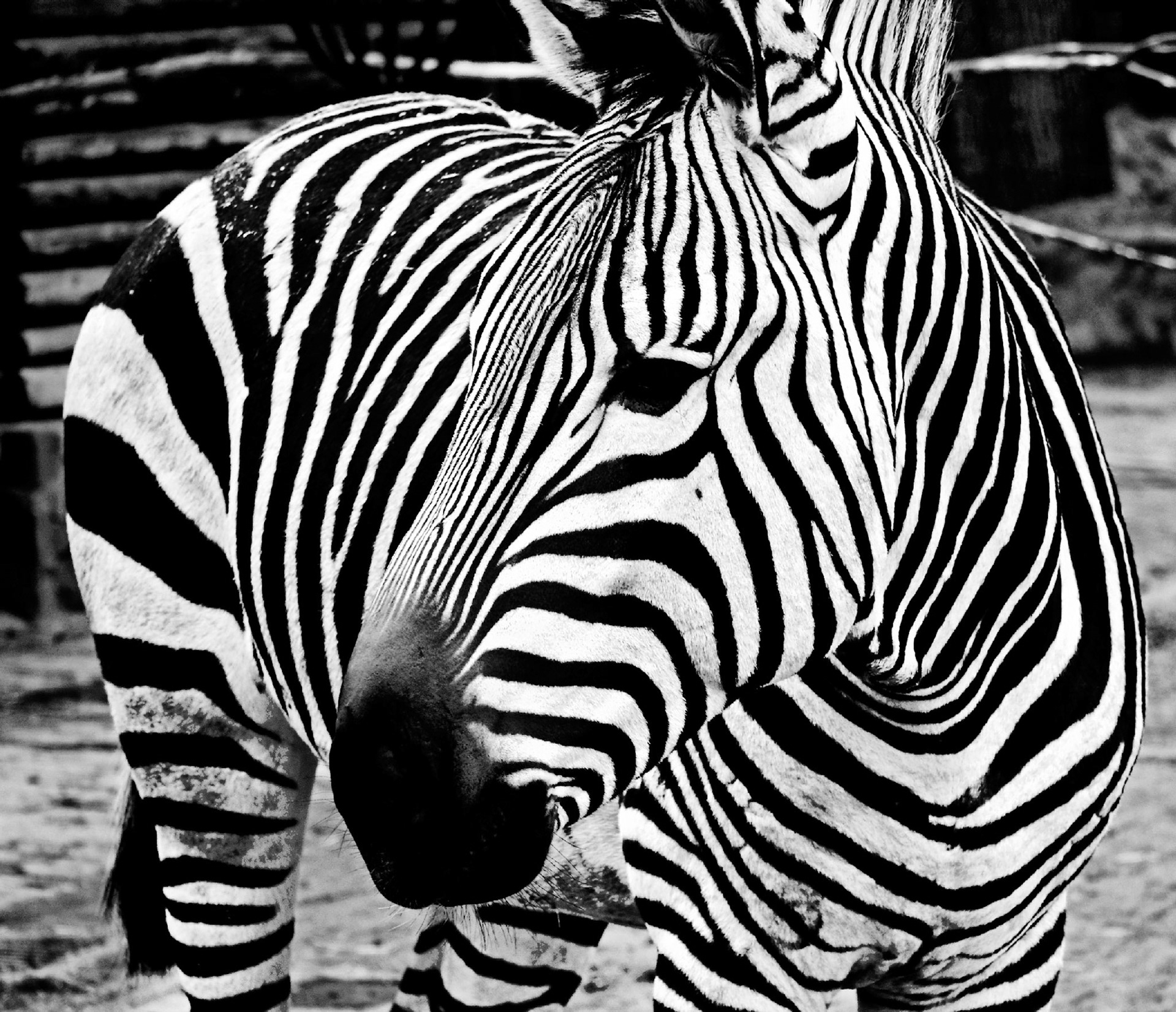 AntwerpPlease see my other Photographs at: http://www.jamespdeans.co.uk/