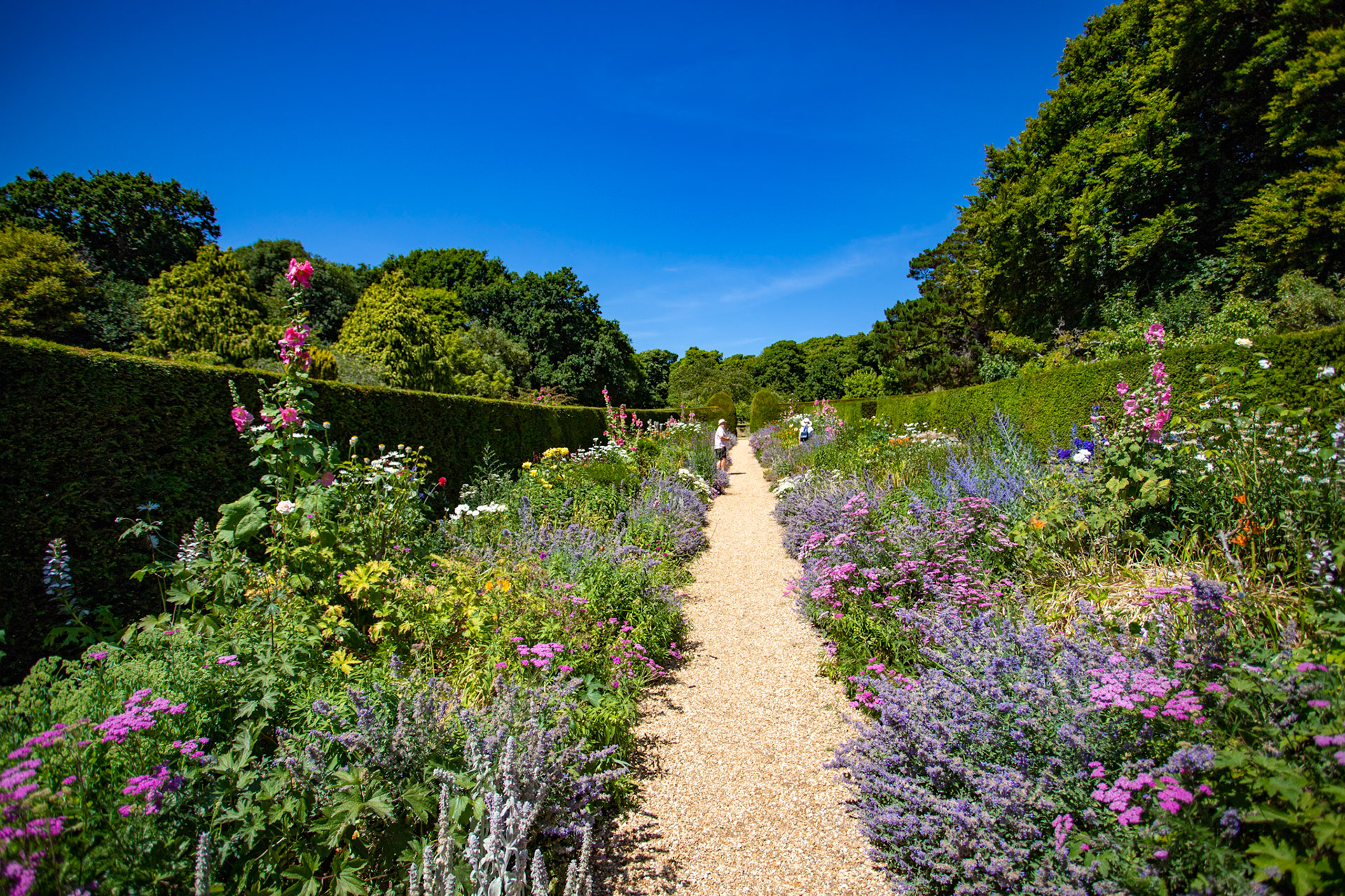 Mottistone IOW 16 July 2022