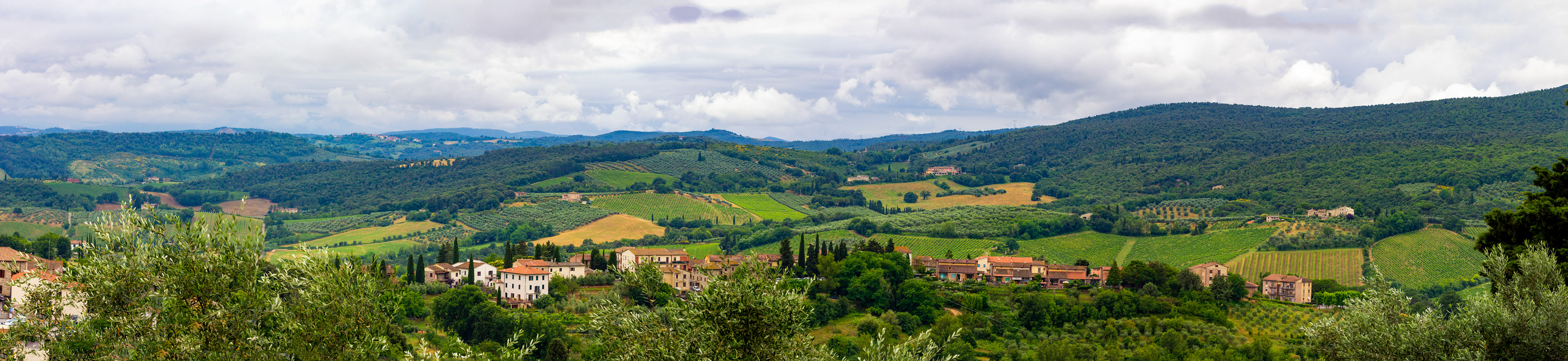 San Gimignano 24 June 2024
