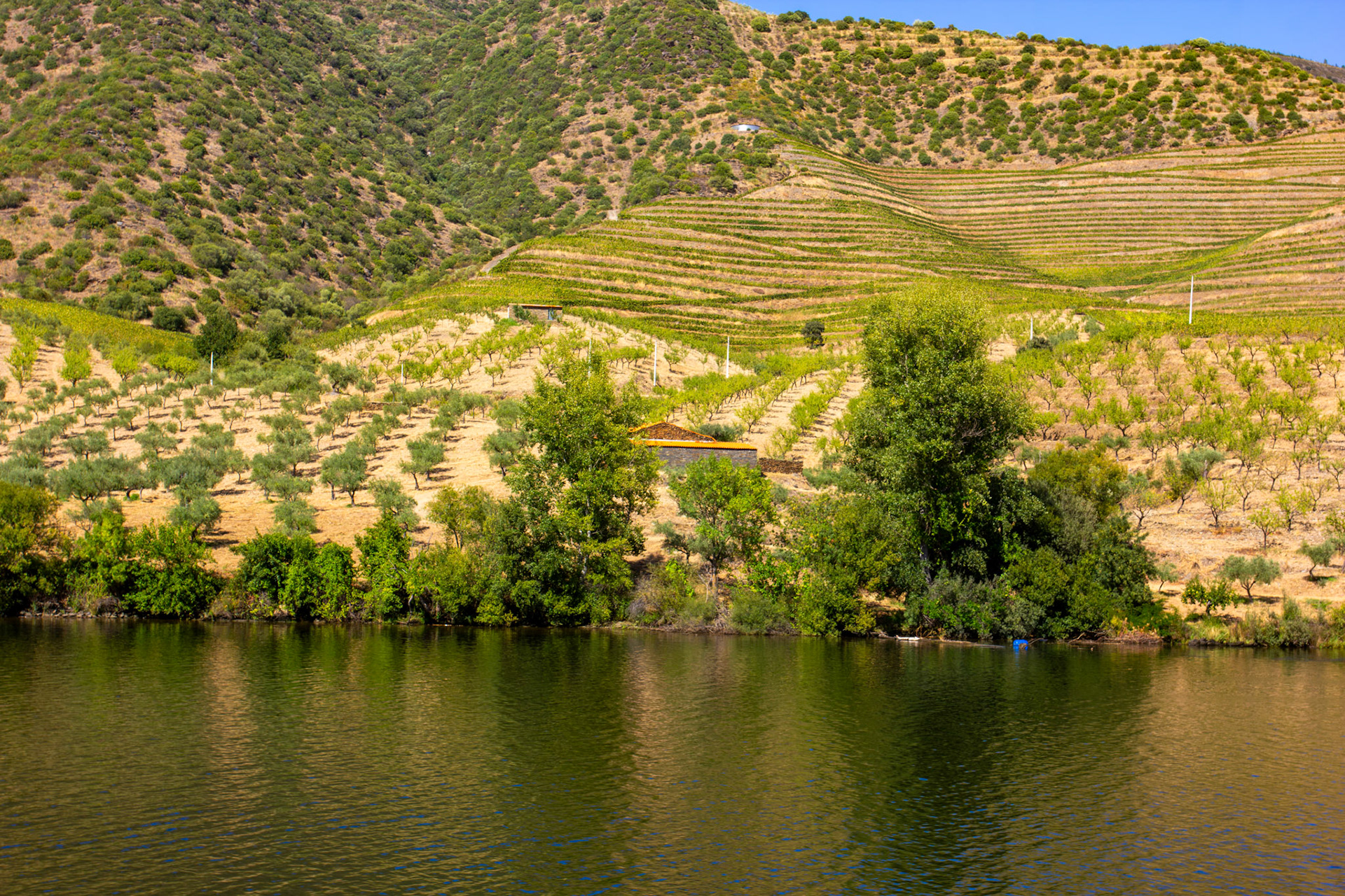 Douro cruise 22 August 2026