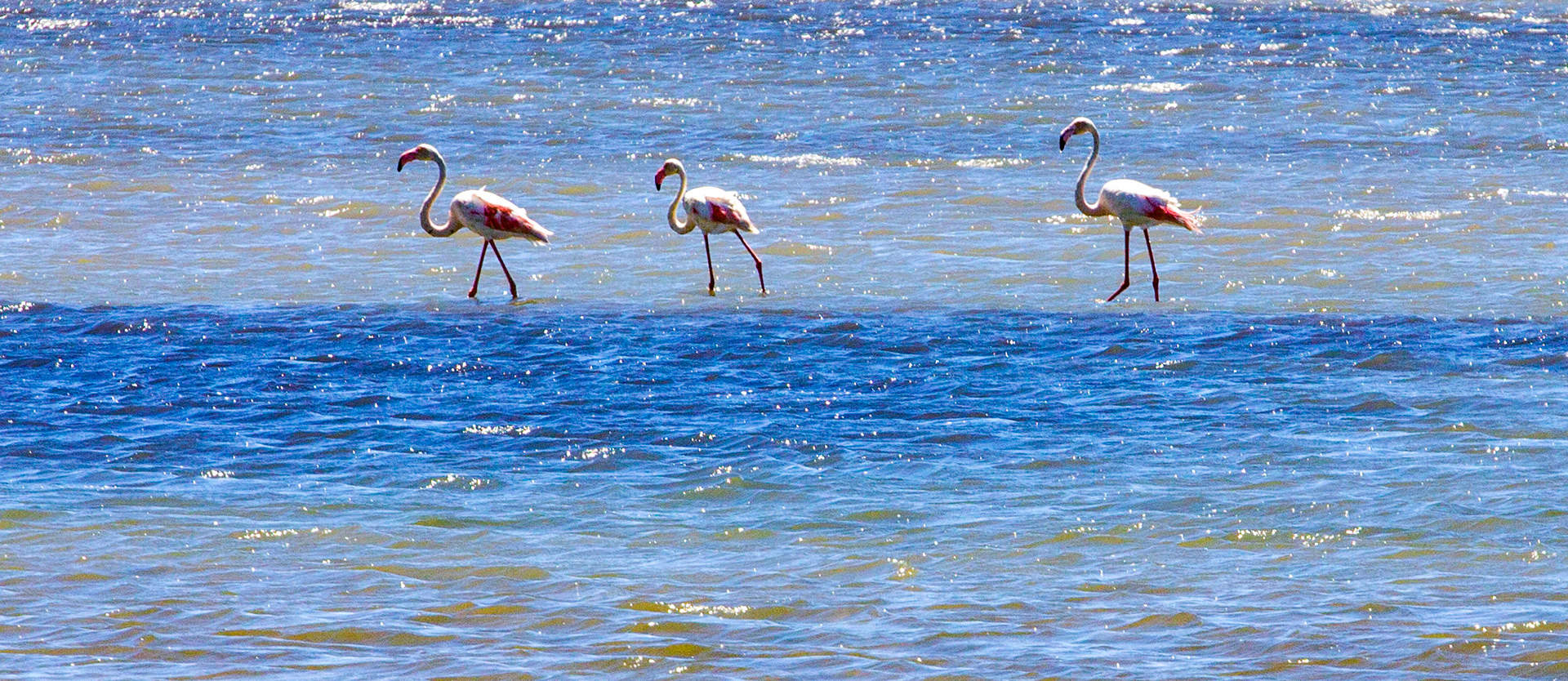 Eastern AlgarvePlease see my other Photographs at: http://www.jamespdeans.co.uk/