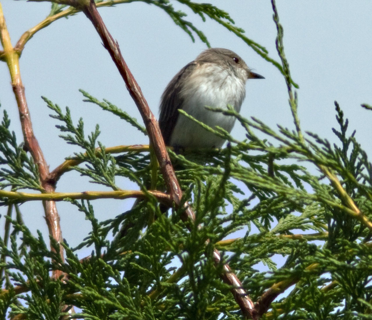 GlendevonPlease see my other Photographs at: http://www.jamespdeans.co.uk/