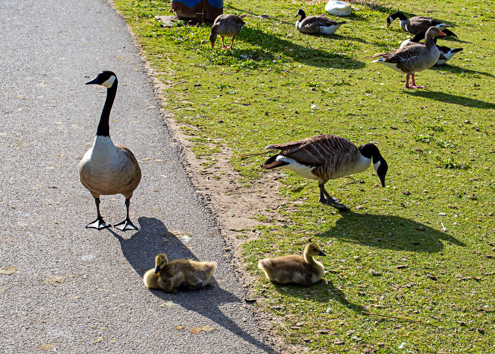 Reading 08 June 2024