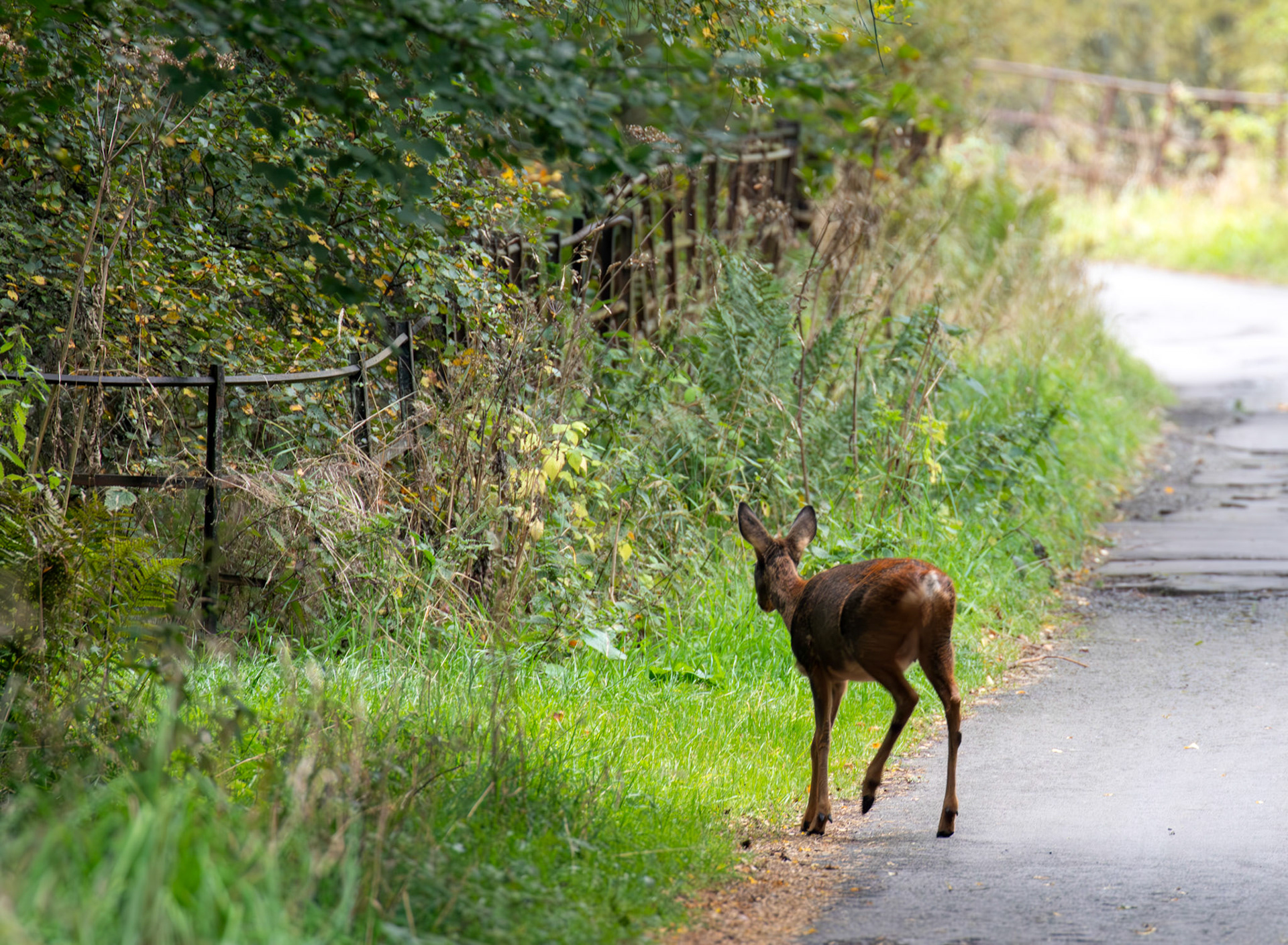 Bavelaw 24 Sept 2025