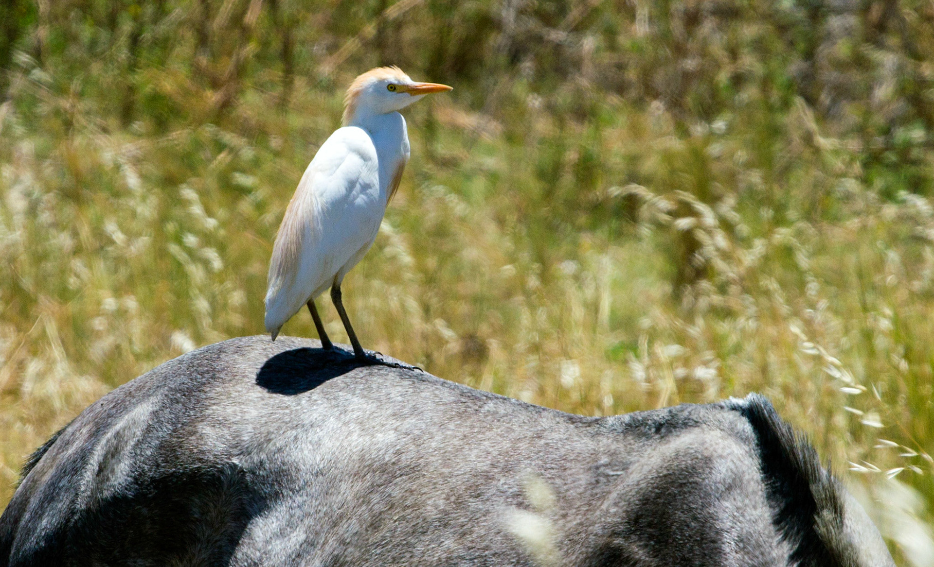 Eastern AlgarvePlease see my other Photographs at: http://www.jamespdeans.co.uk/