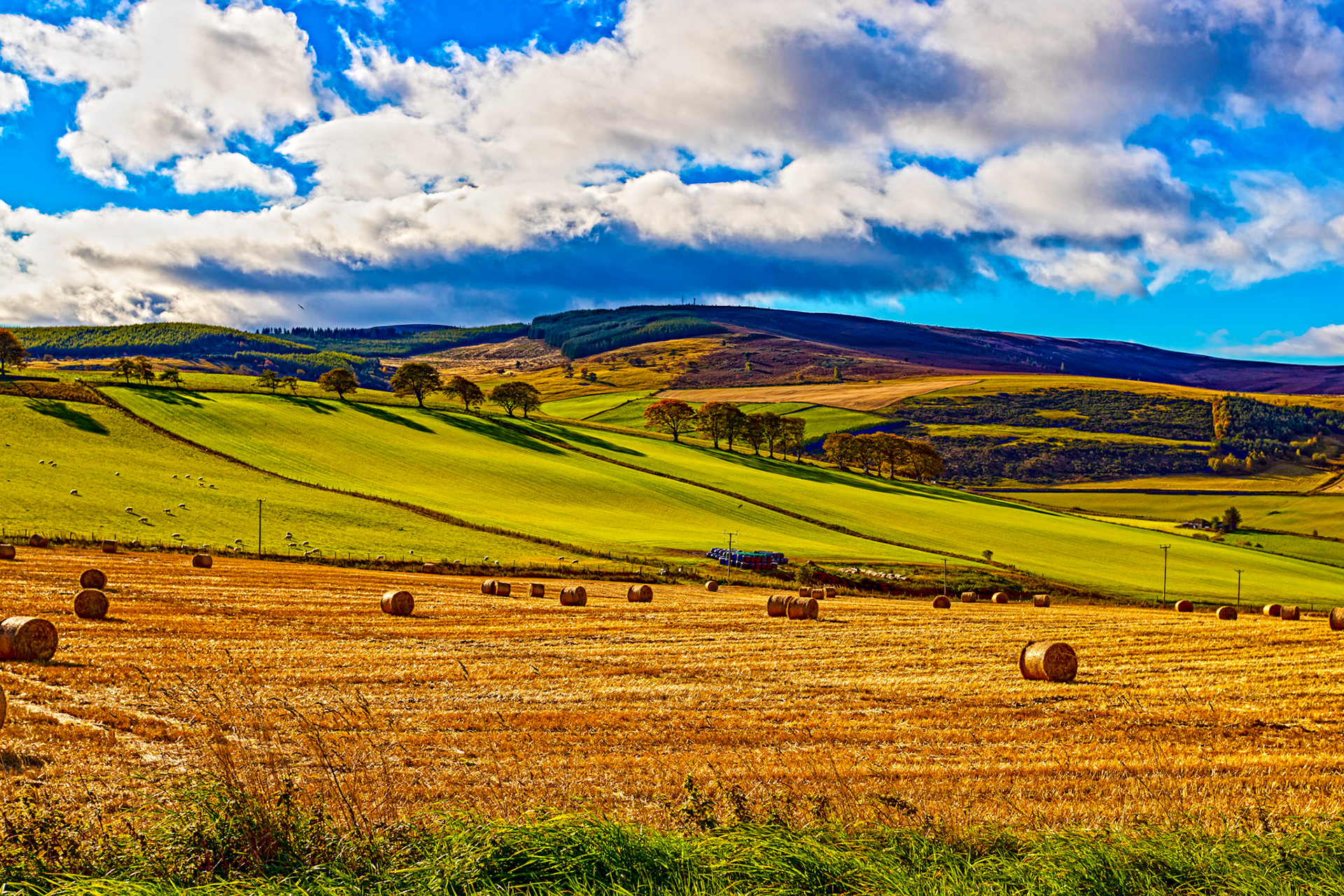 Autumn in Aberdeenshire 14 to 16 October 2022