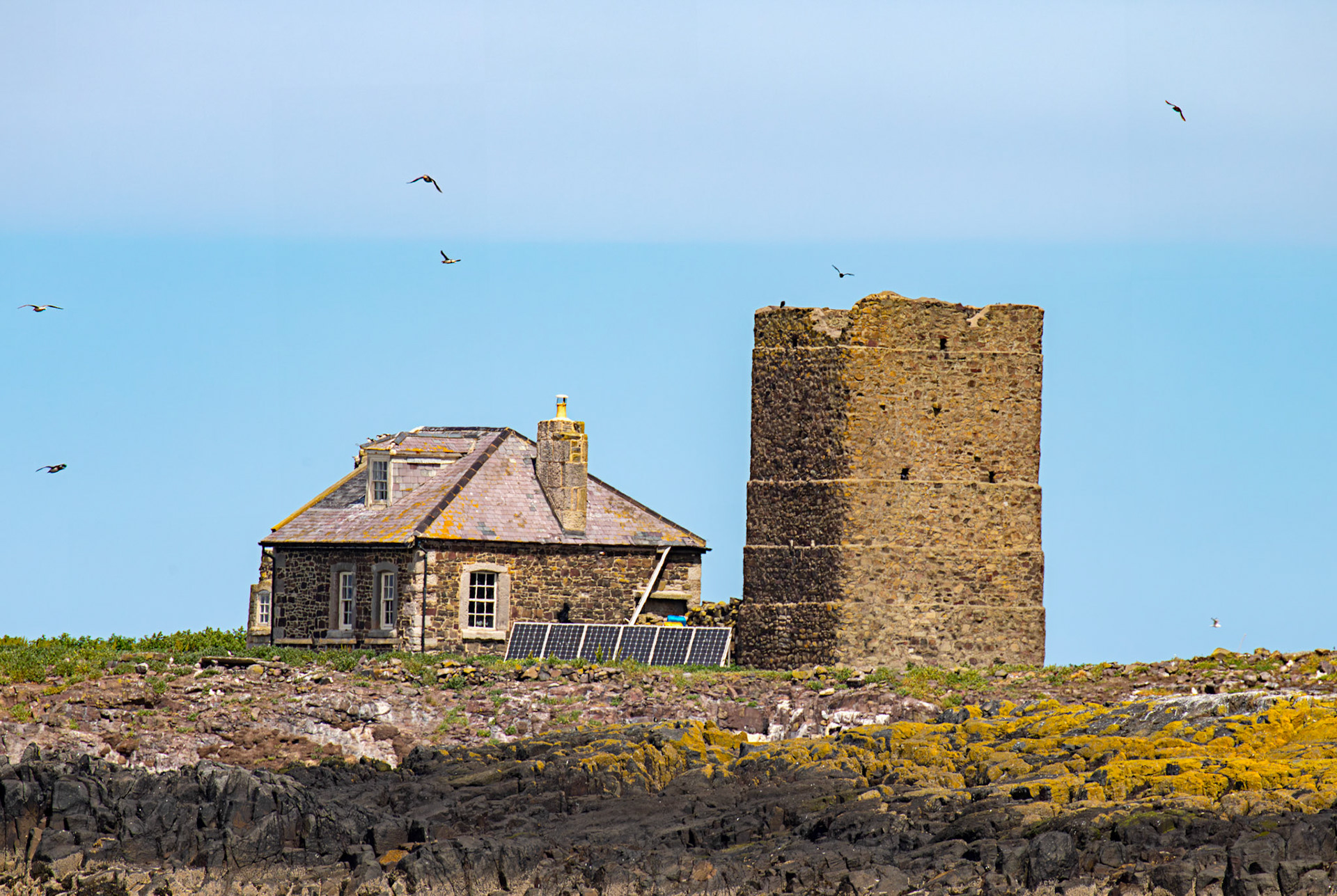 Old lighthouse and cottage on Brownsman Island - Farne Islands 03 July 2026
