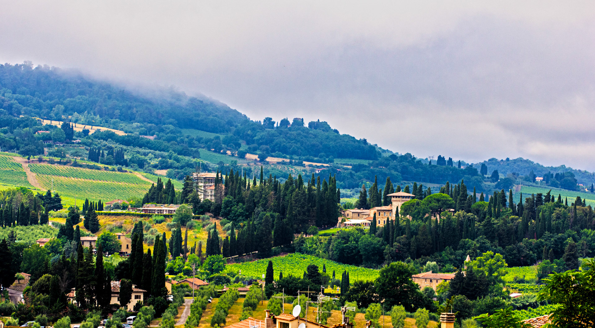 San Gimignano 24 June 2024