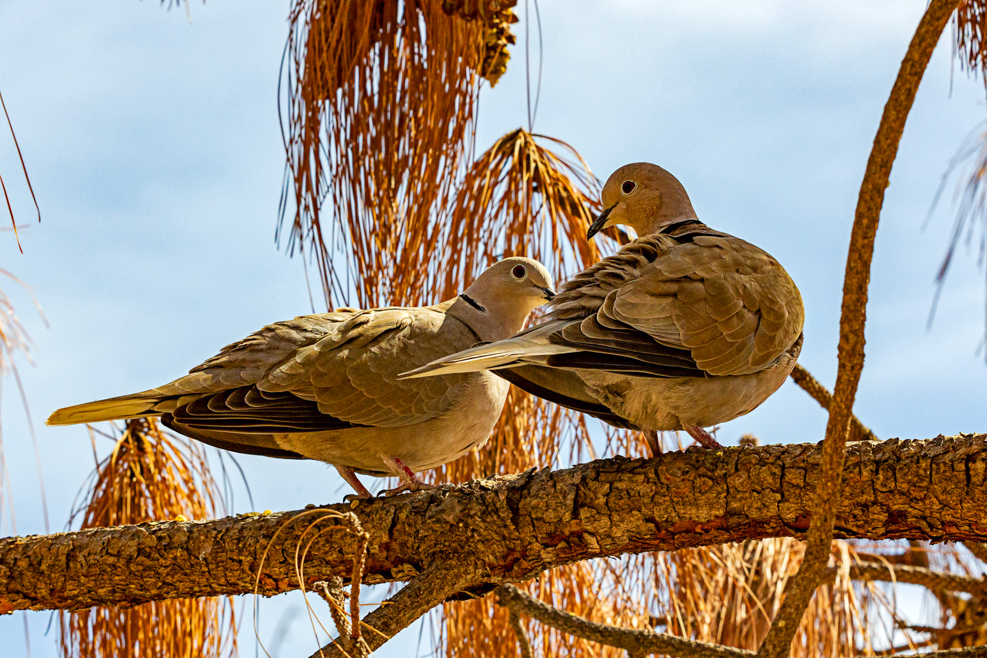 Alicante 17 March 2024